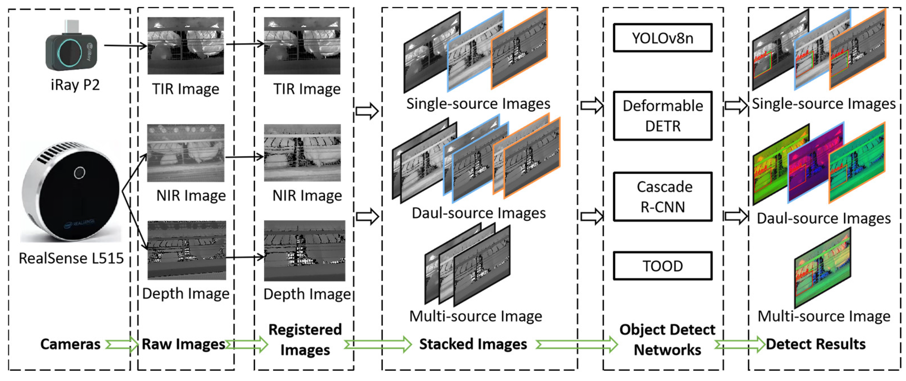 Animals | Free Full-Text | Dead Laying Hens Detection Using TIR