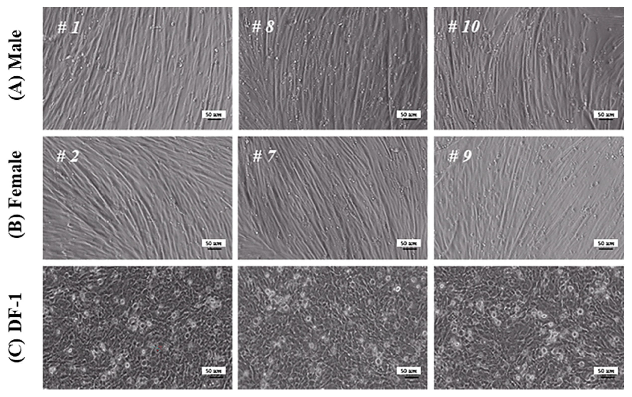 Animals 13 01887 g003