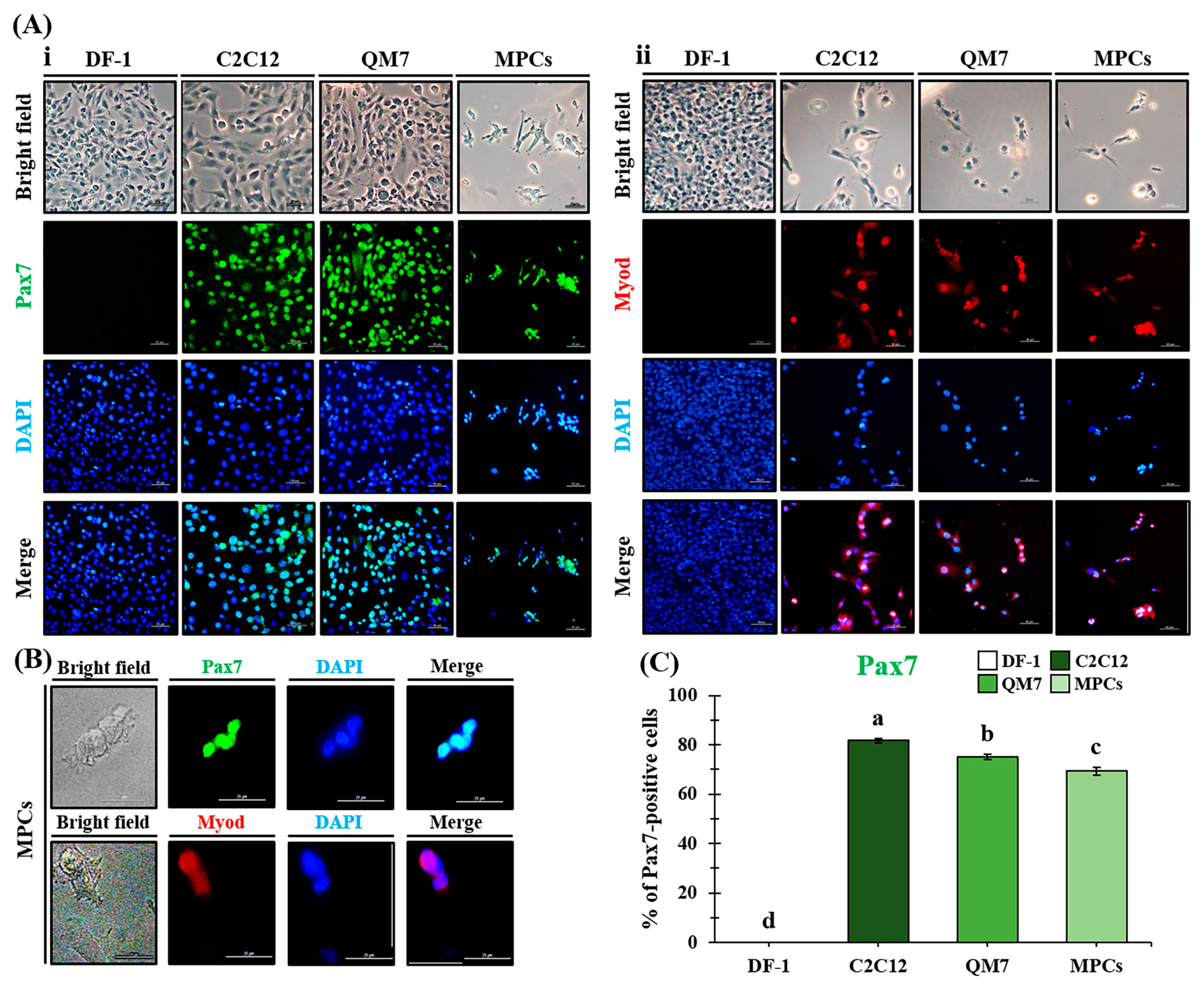 Animals 13 01887 g004