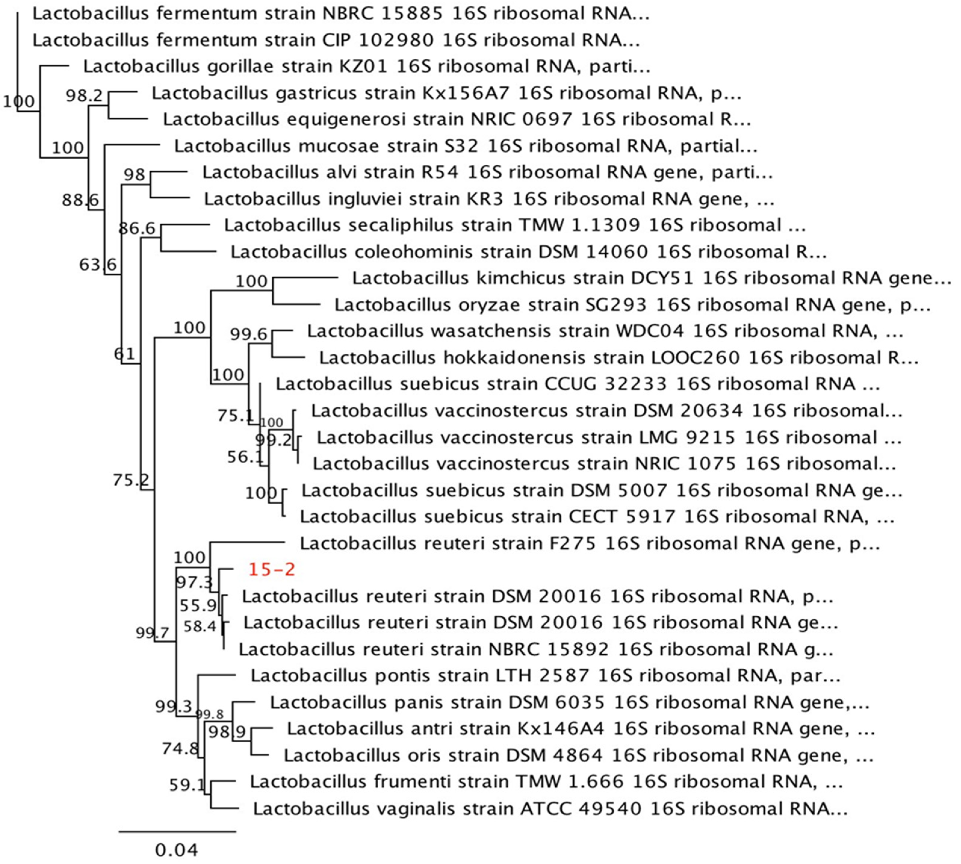 Animals 13 01915 g003