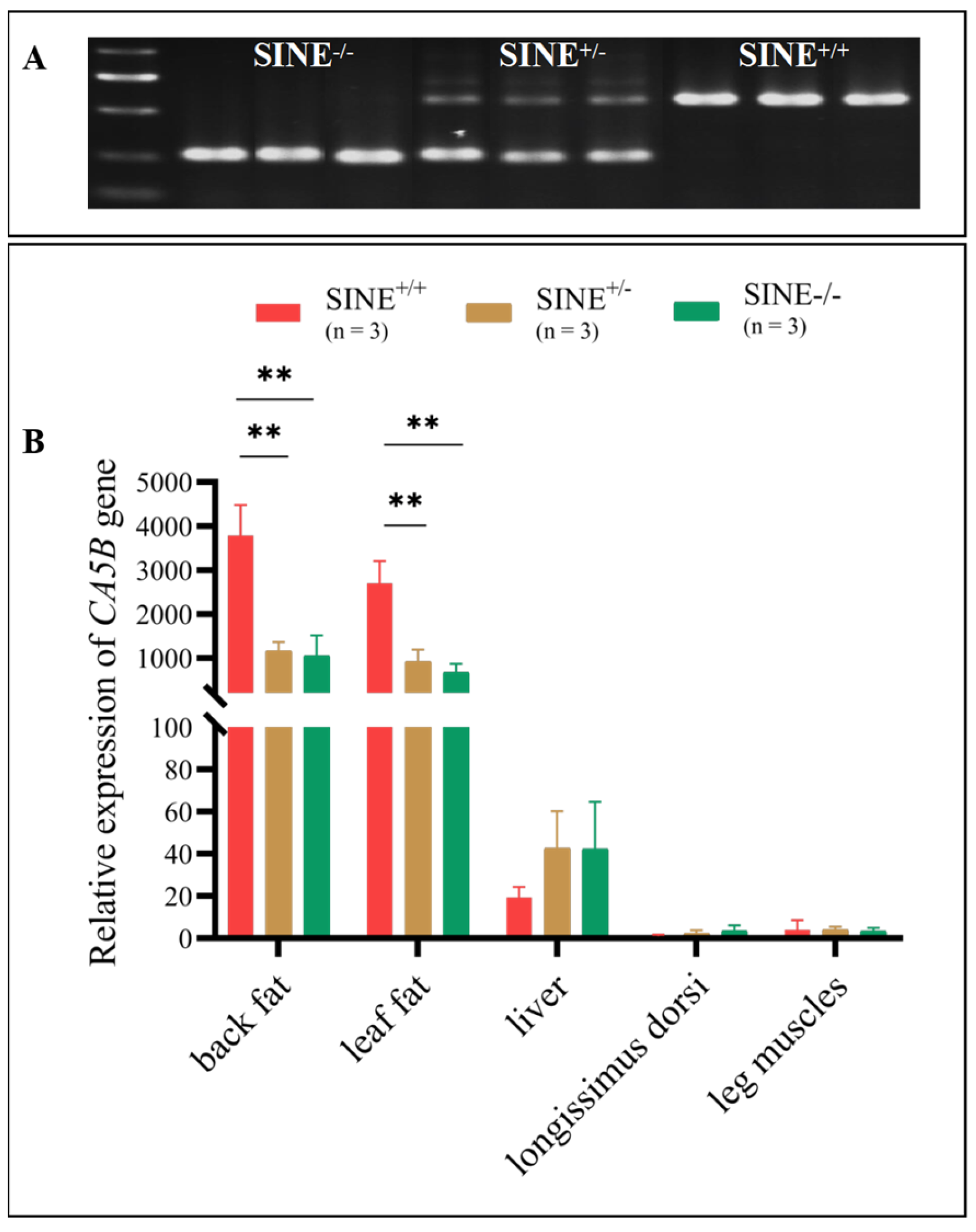 Animals 13 01942 g002 Animals 13 01942 g002