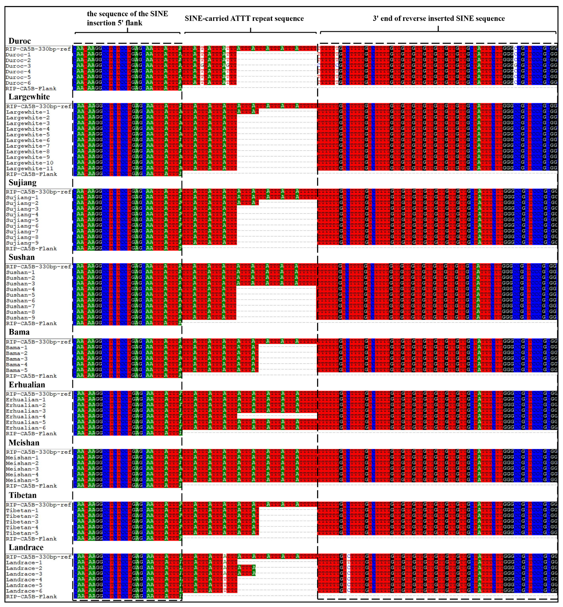 Animals 13 01942 g004 Animals 13 01942 g004