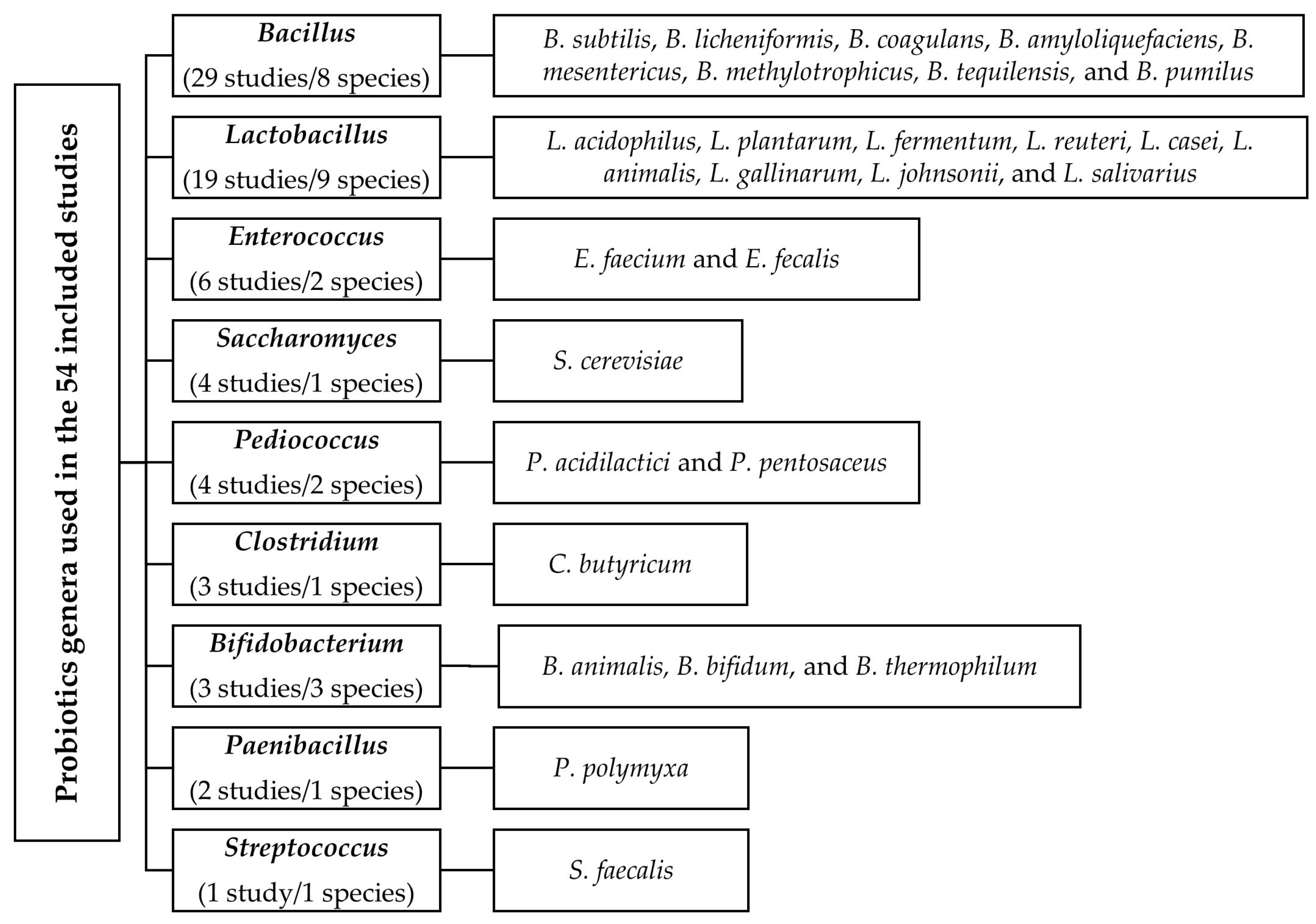 Animals | Free Full-Text | Dietary Probiotics Modulate Gut Barrier and ...