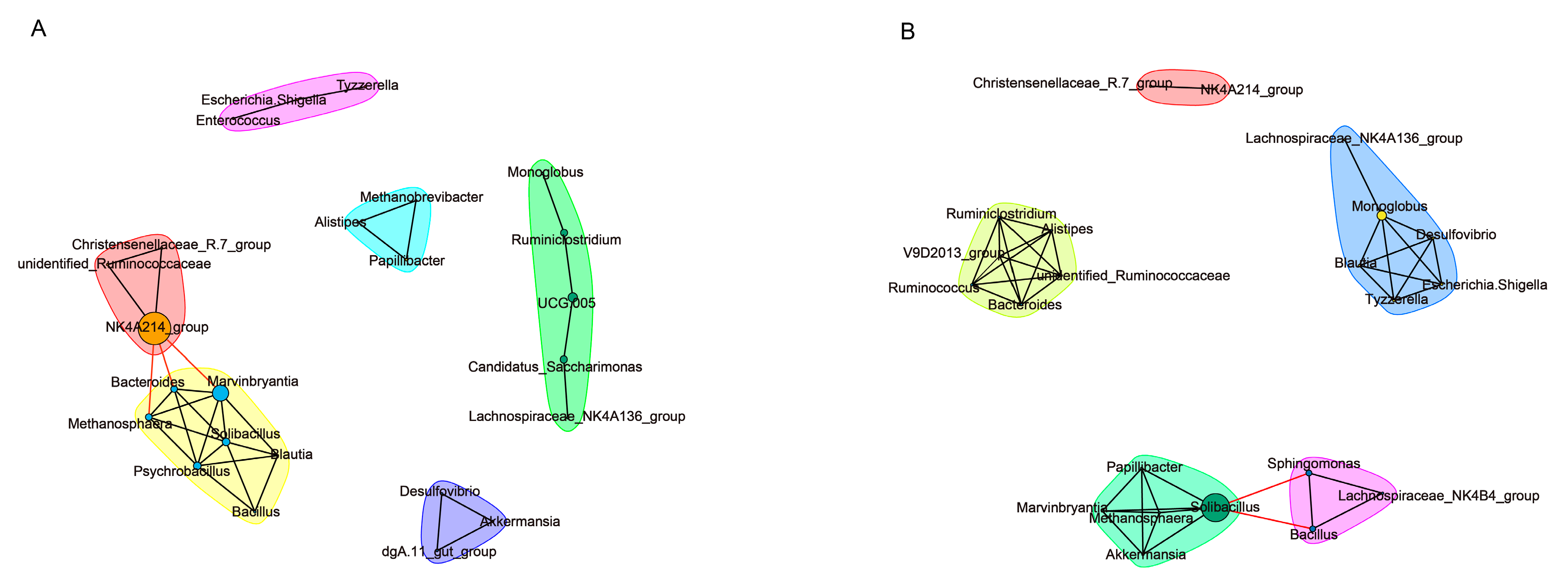 Animals 13 01971 g006
