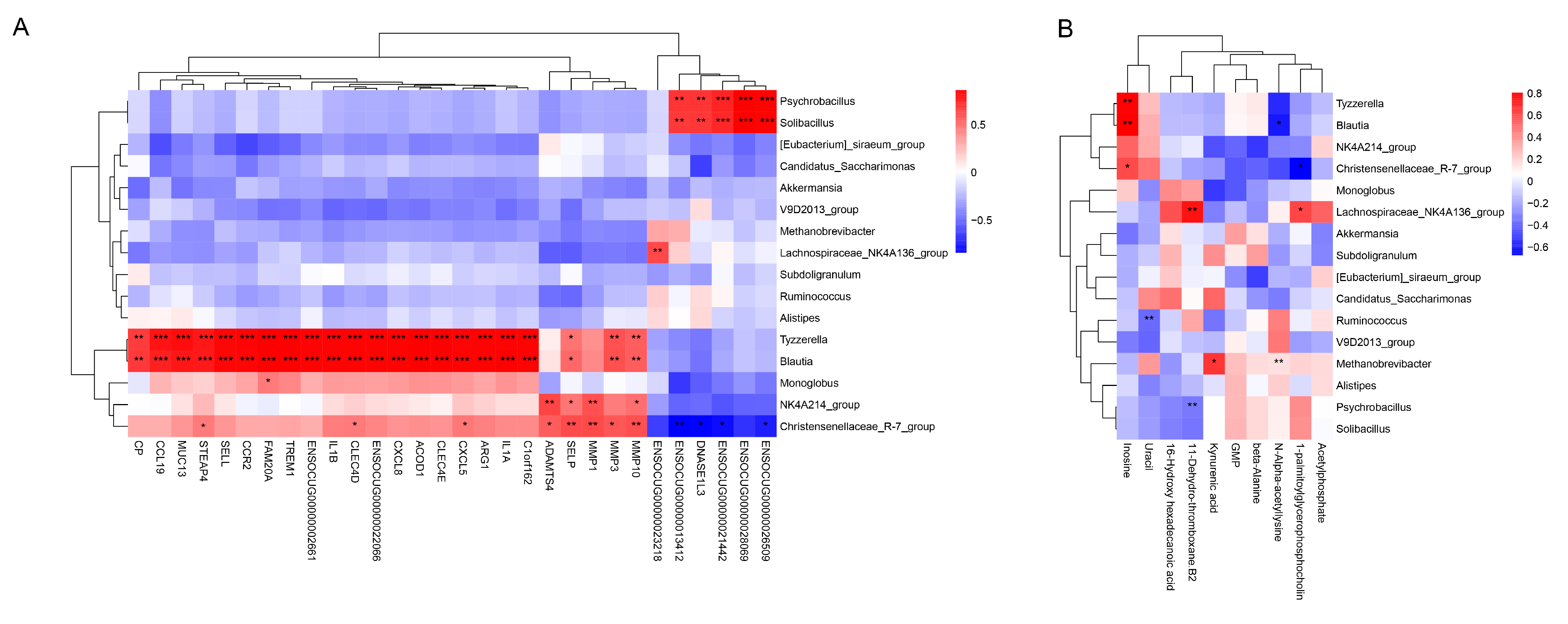 Animals 13 01971 g011