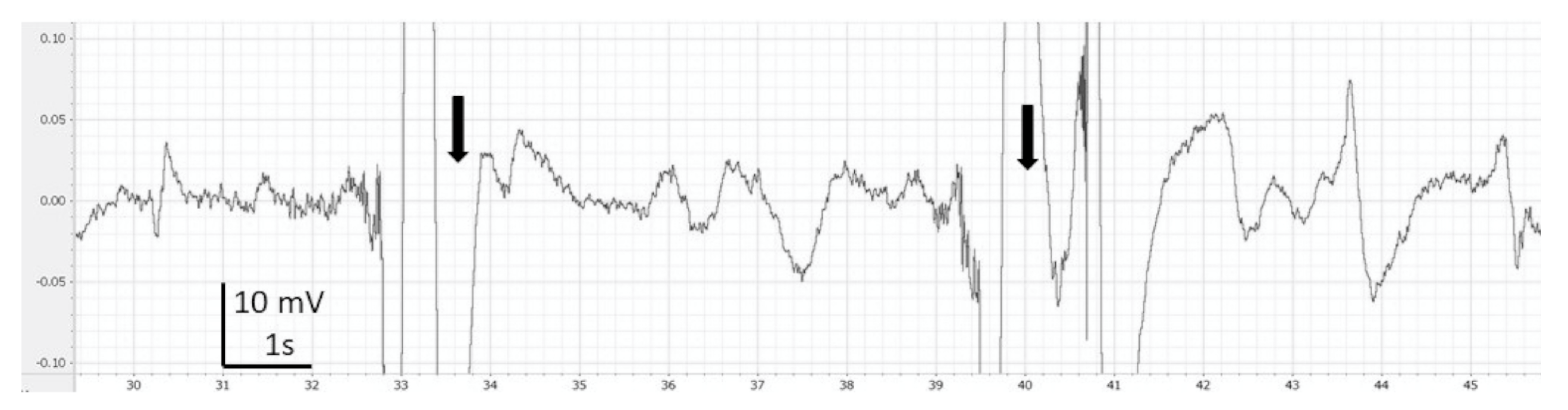 Animals 13 01993 g001