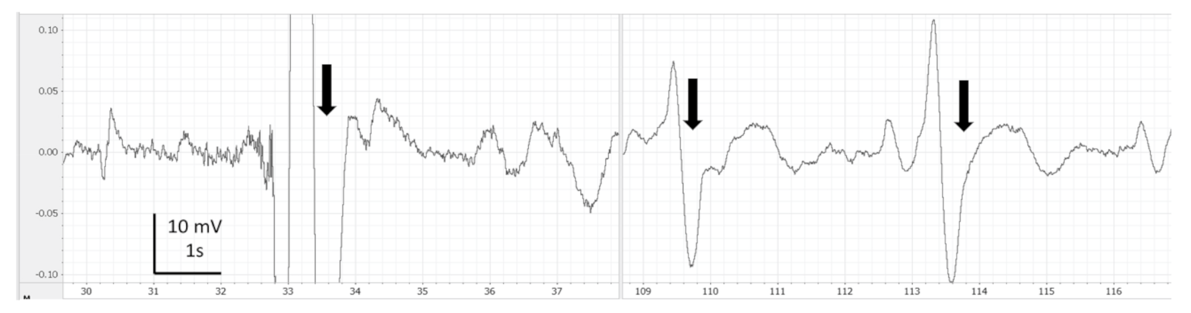 Animals 13 01993 g002