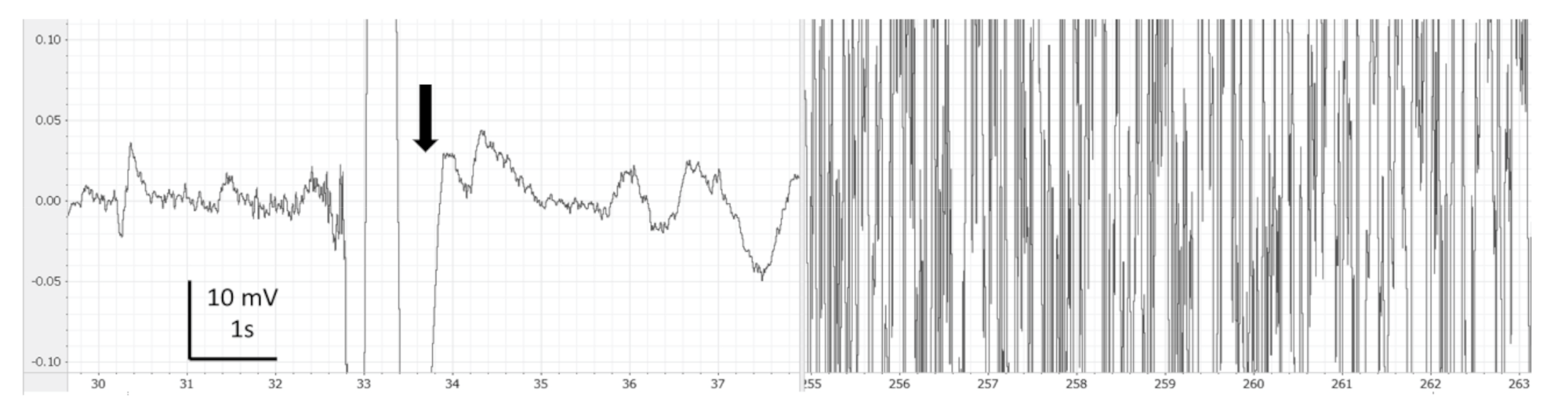 Animals 13 01993 g003