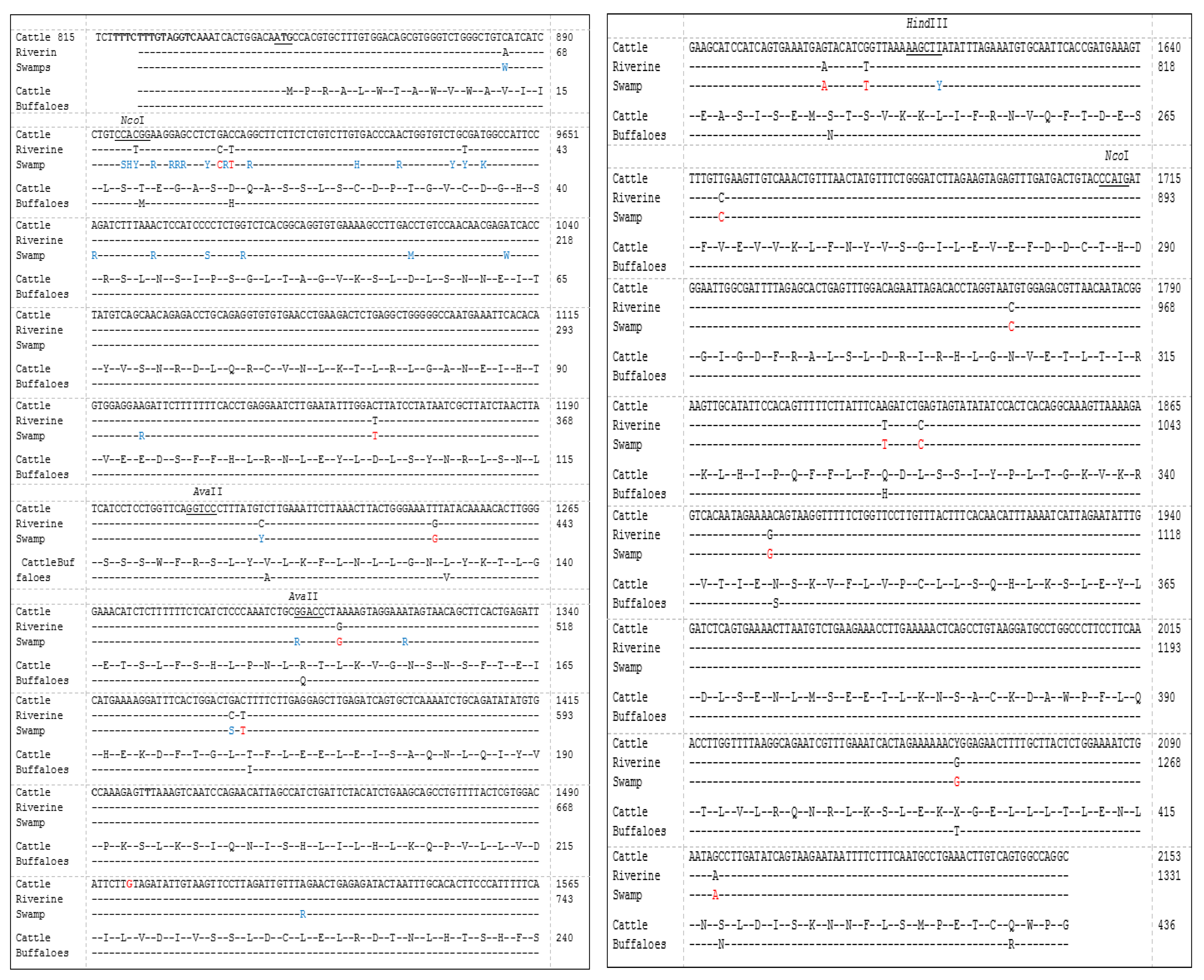 Animals 13 02012 g002