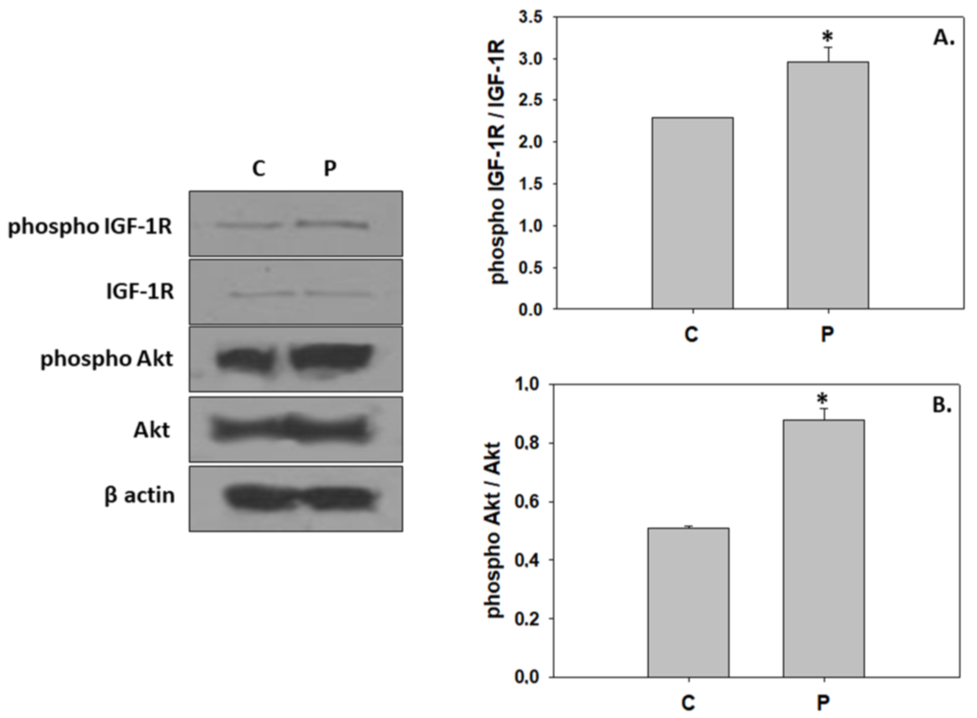 Animals 13 02154 g002