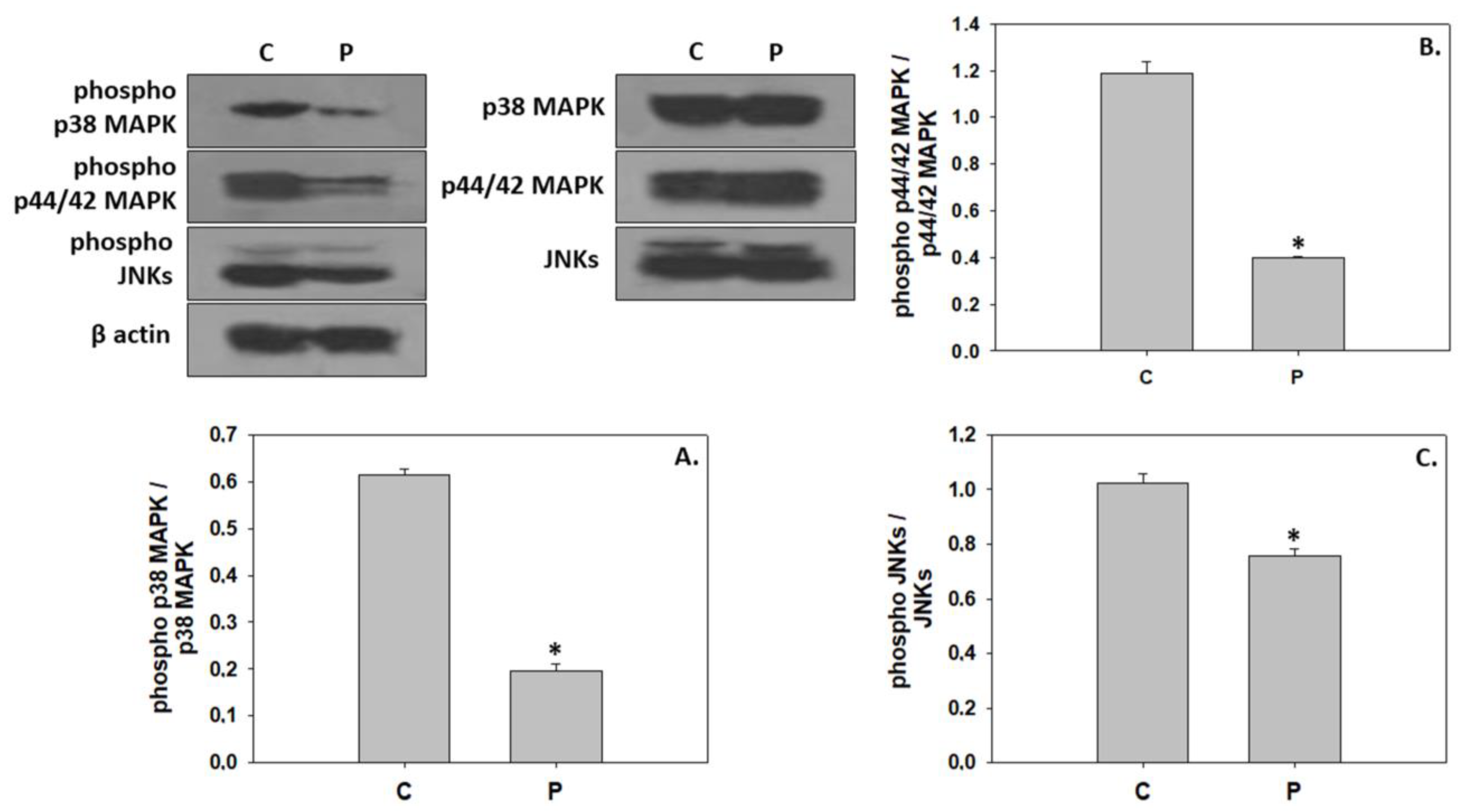 Animals 13 02154 g003