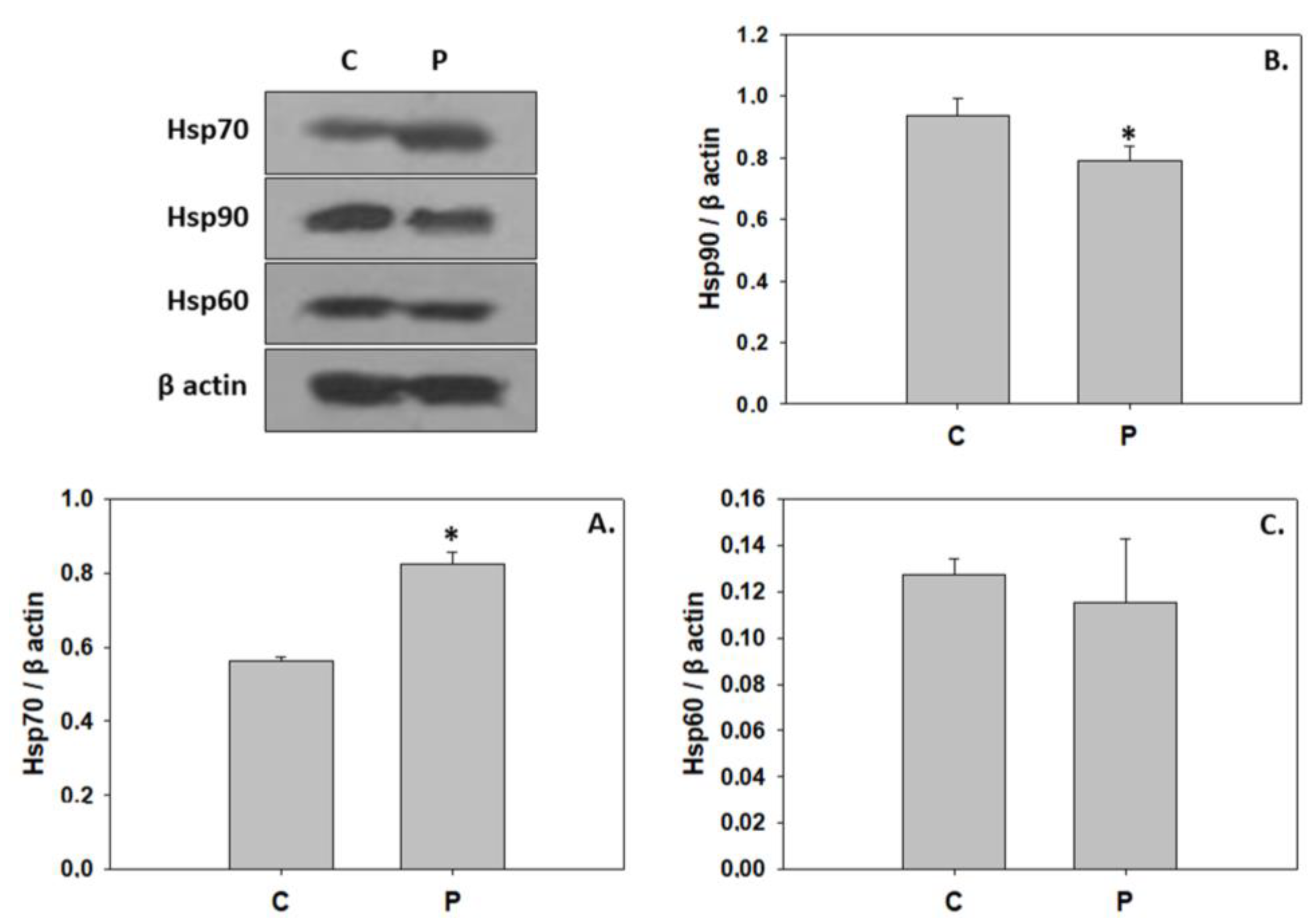 Animals 13 02154 g004