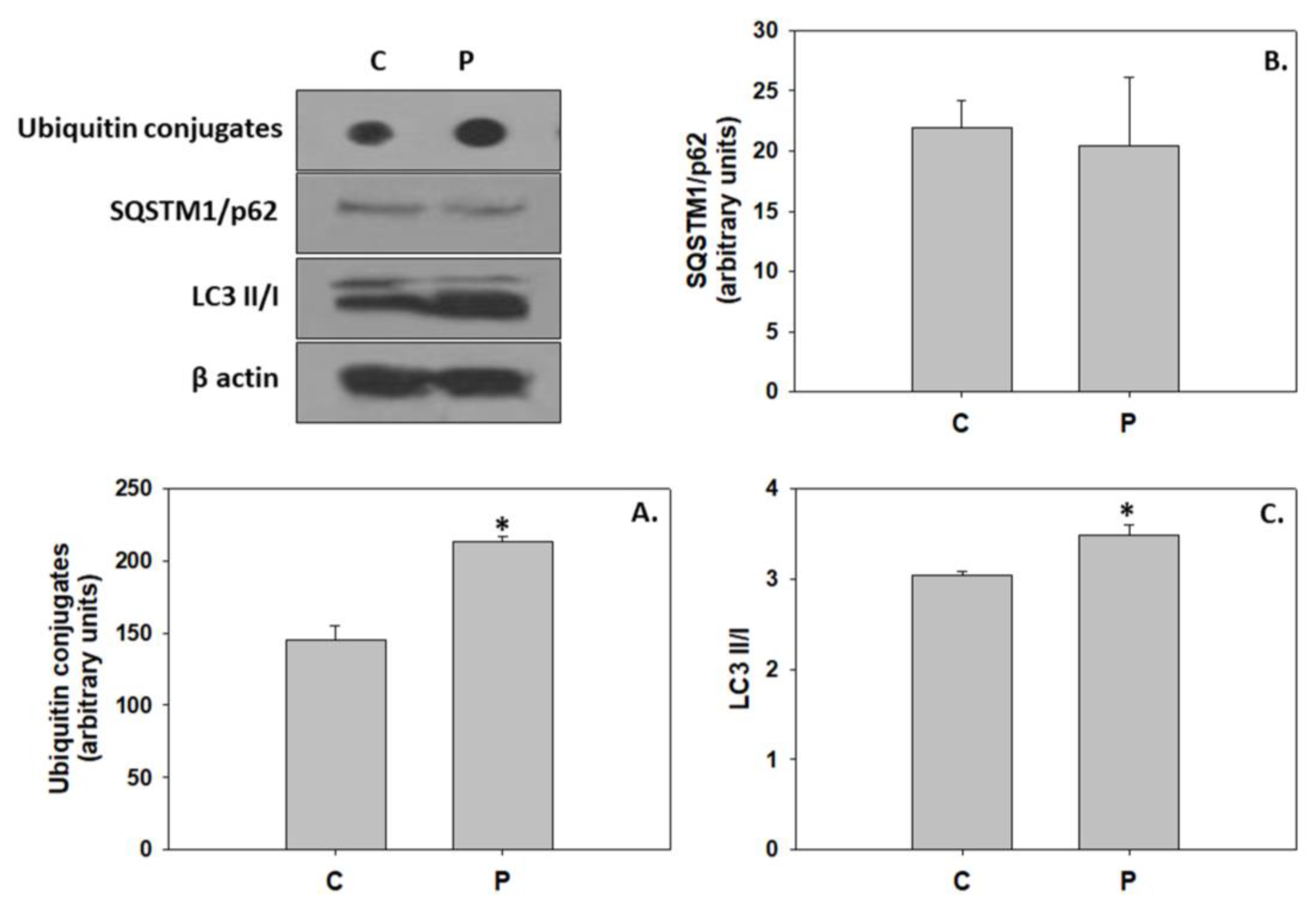 Animals 13 02154 g006