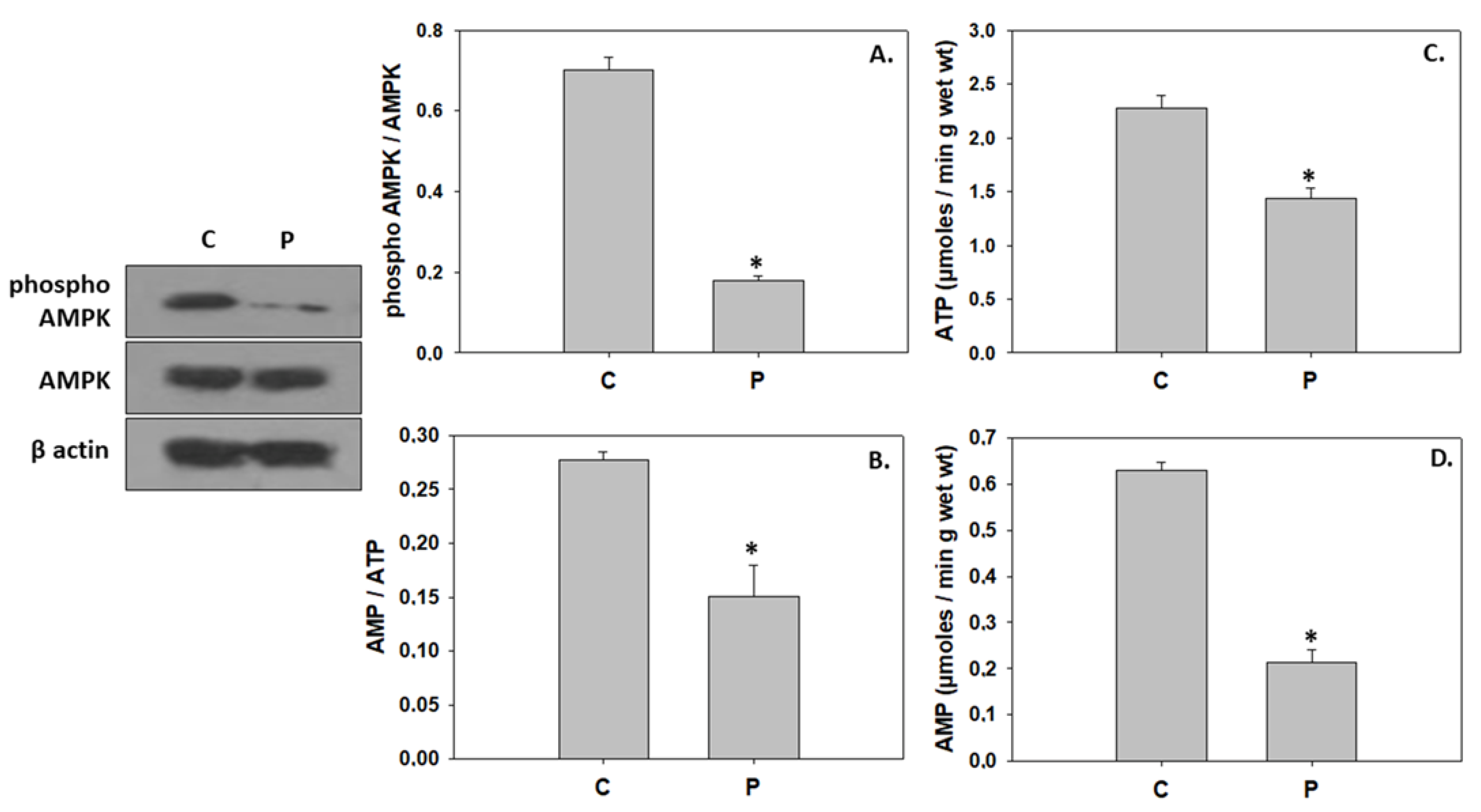 Animals 13 02154 g007
