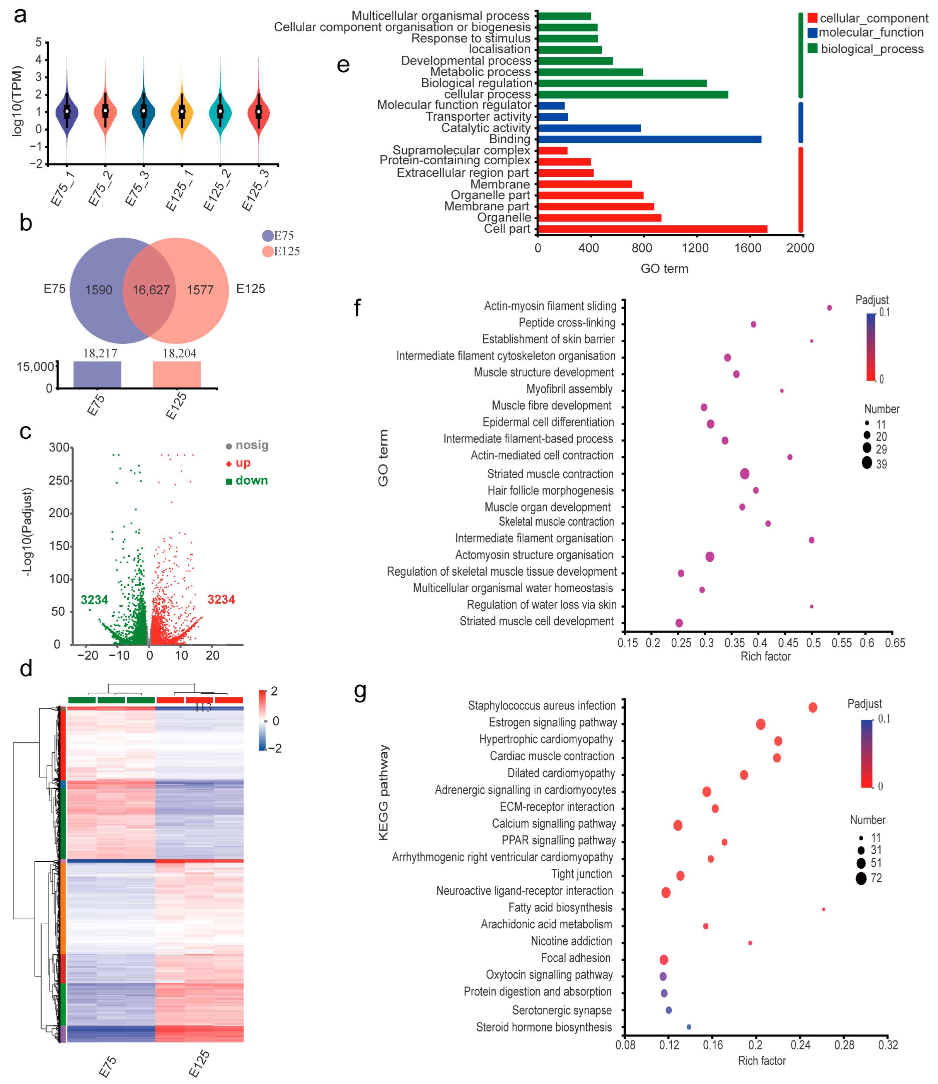 Animals 13 02234 g002