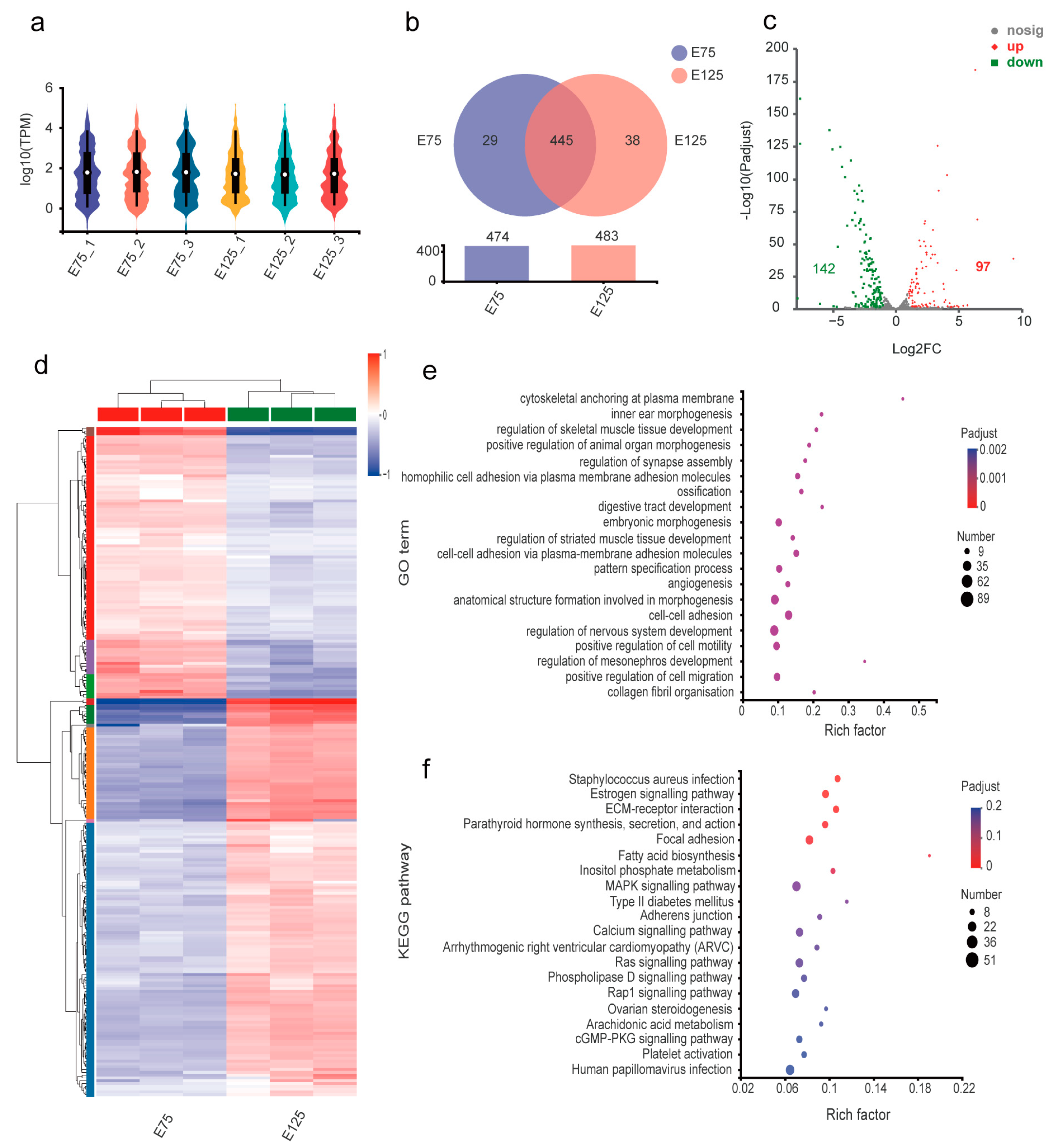 Animals 13 02234 g004