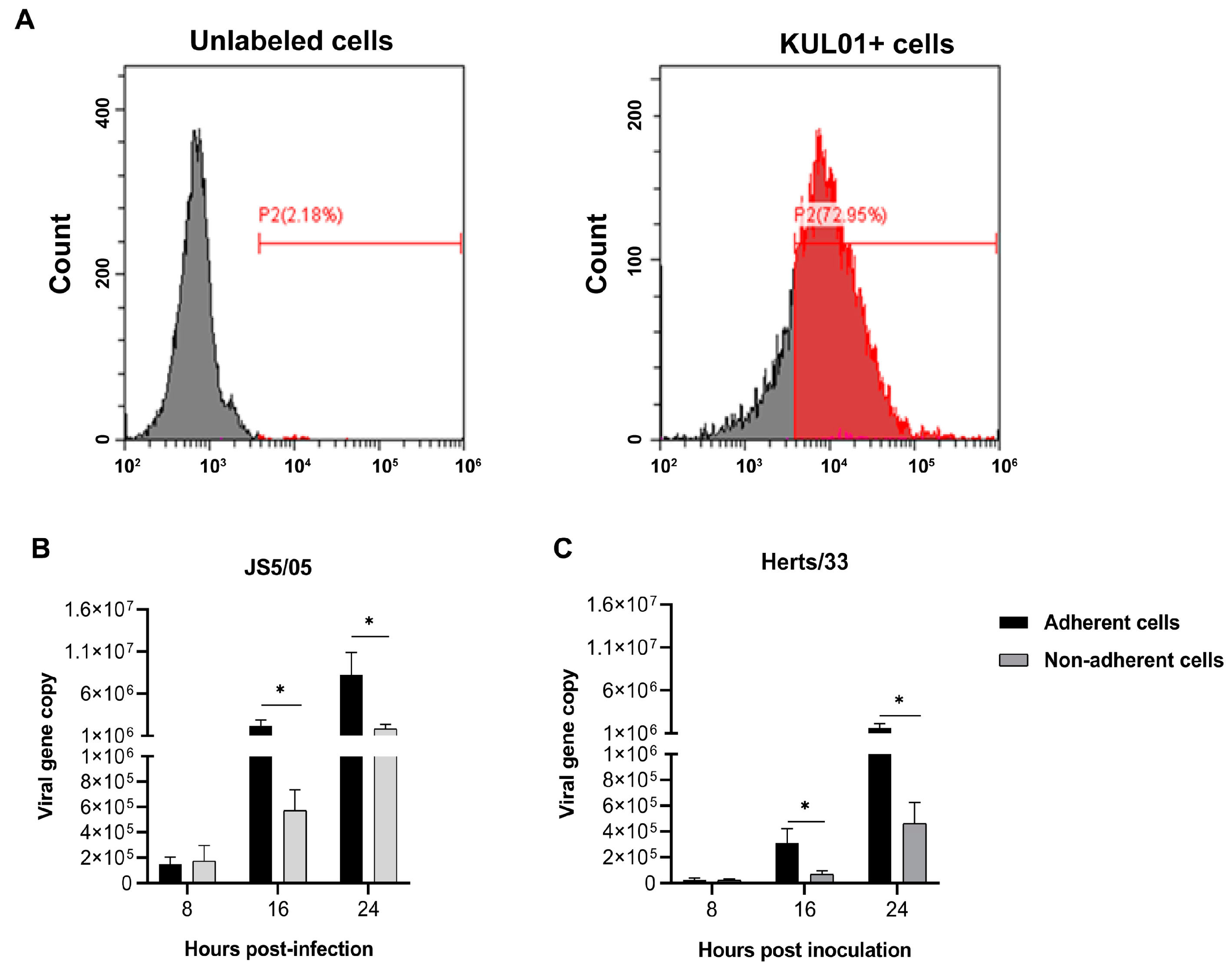 Animals 13 02239 g001