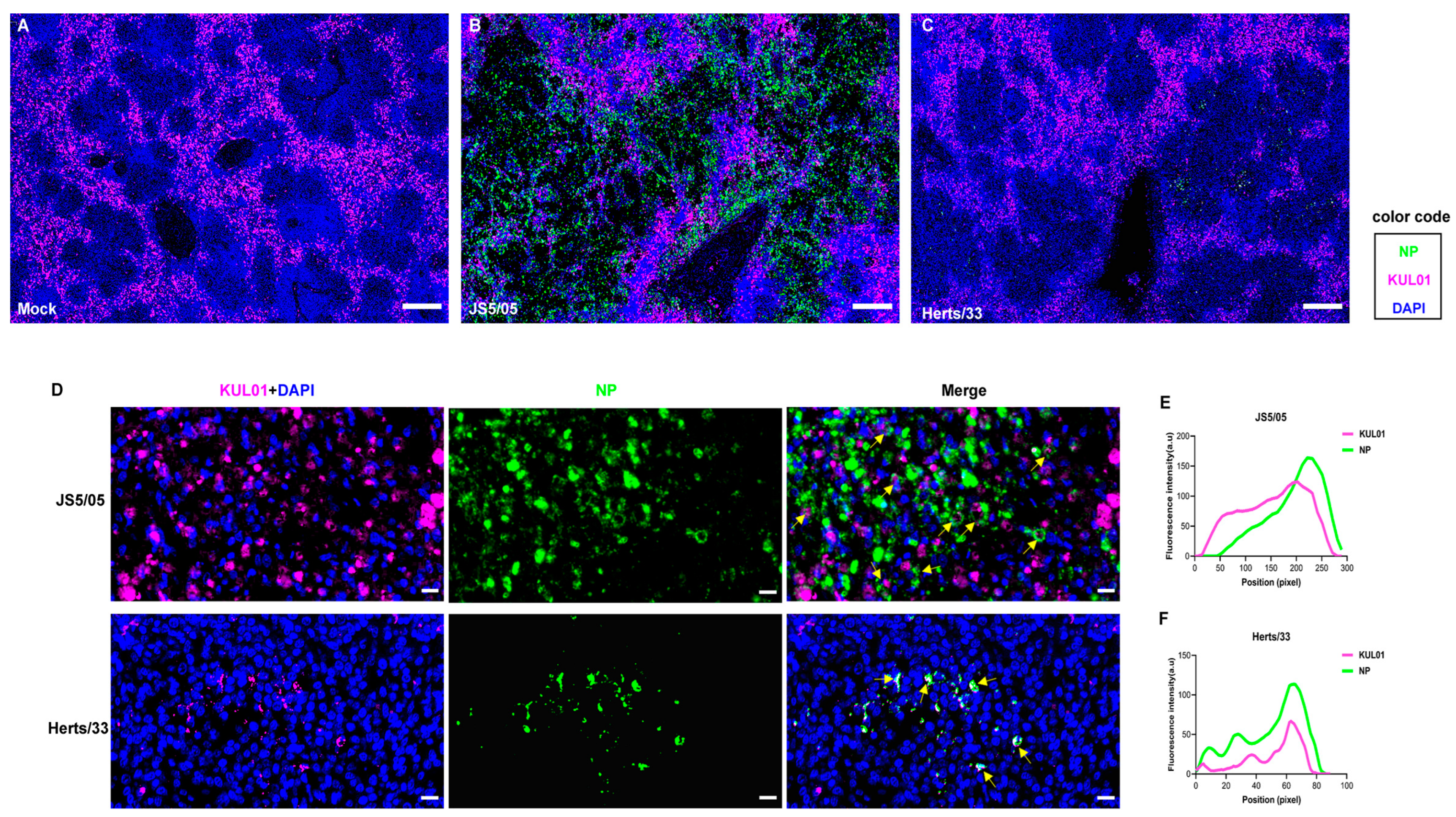 Animals 13 02239 g002