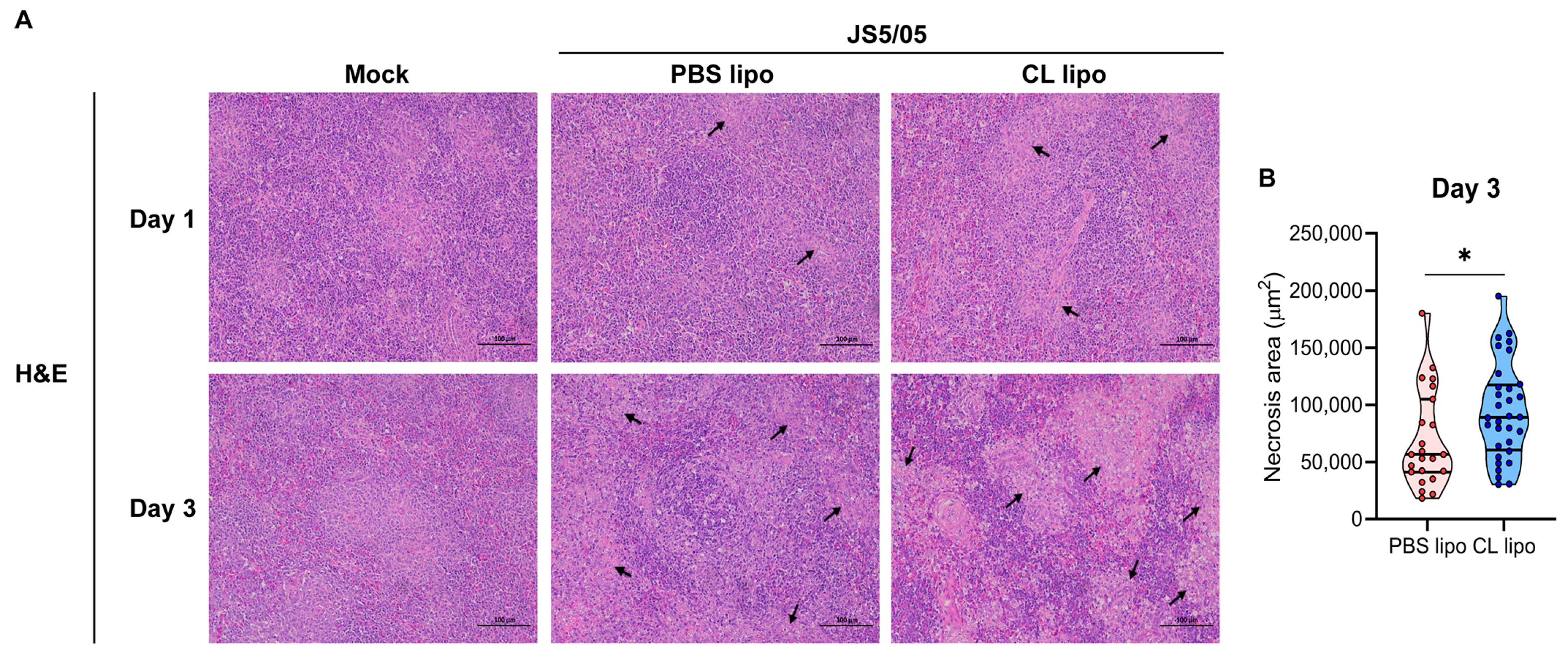 Animals 13 02239 g004