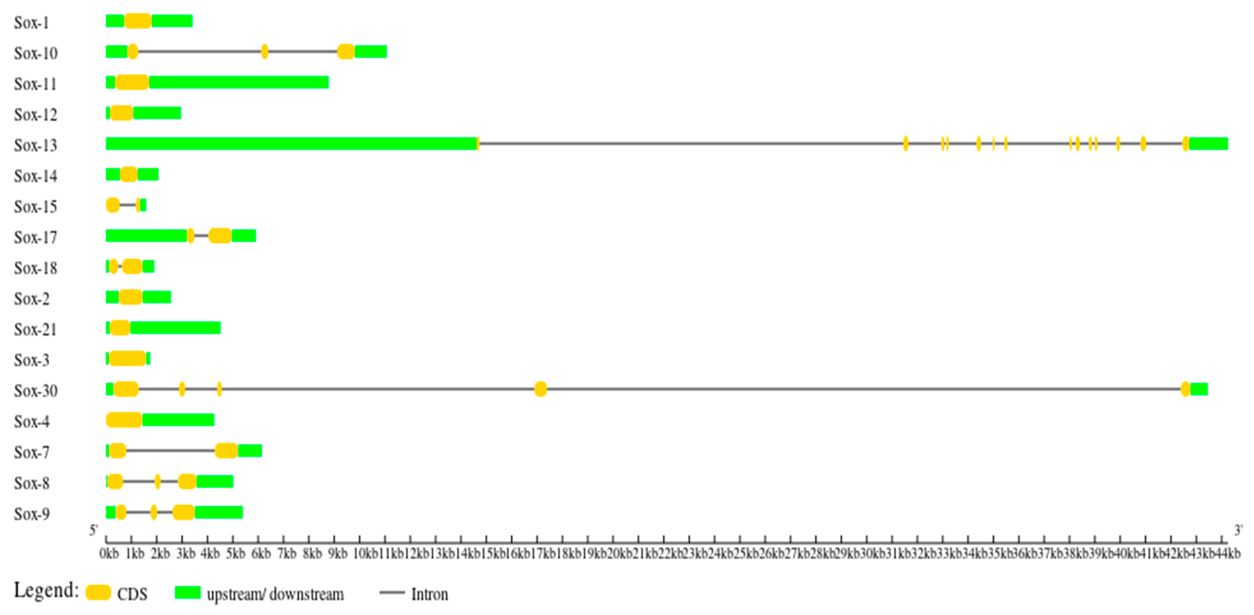 Animals 13 02246 g002