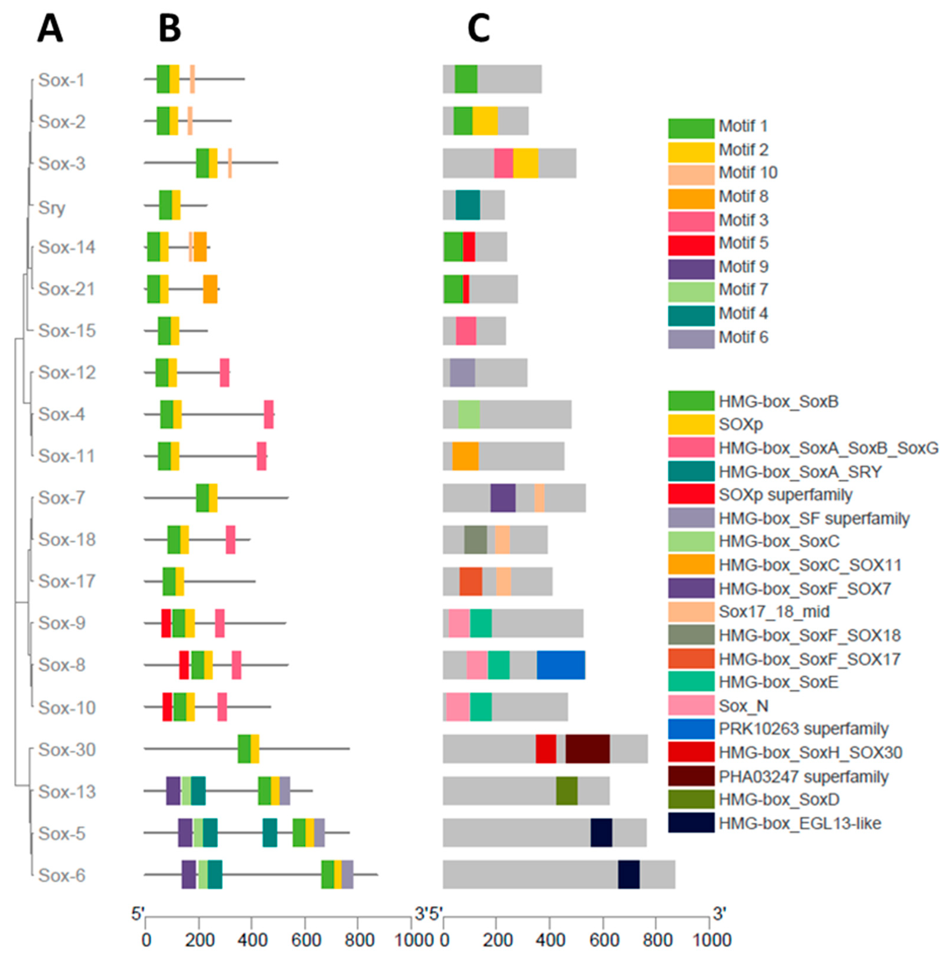 Animals 13 02246 g003