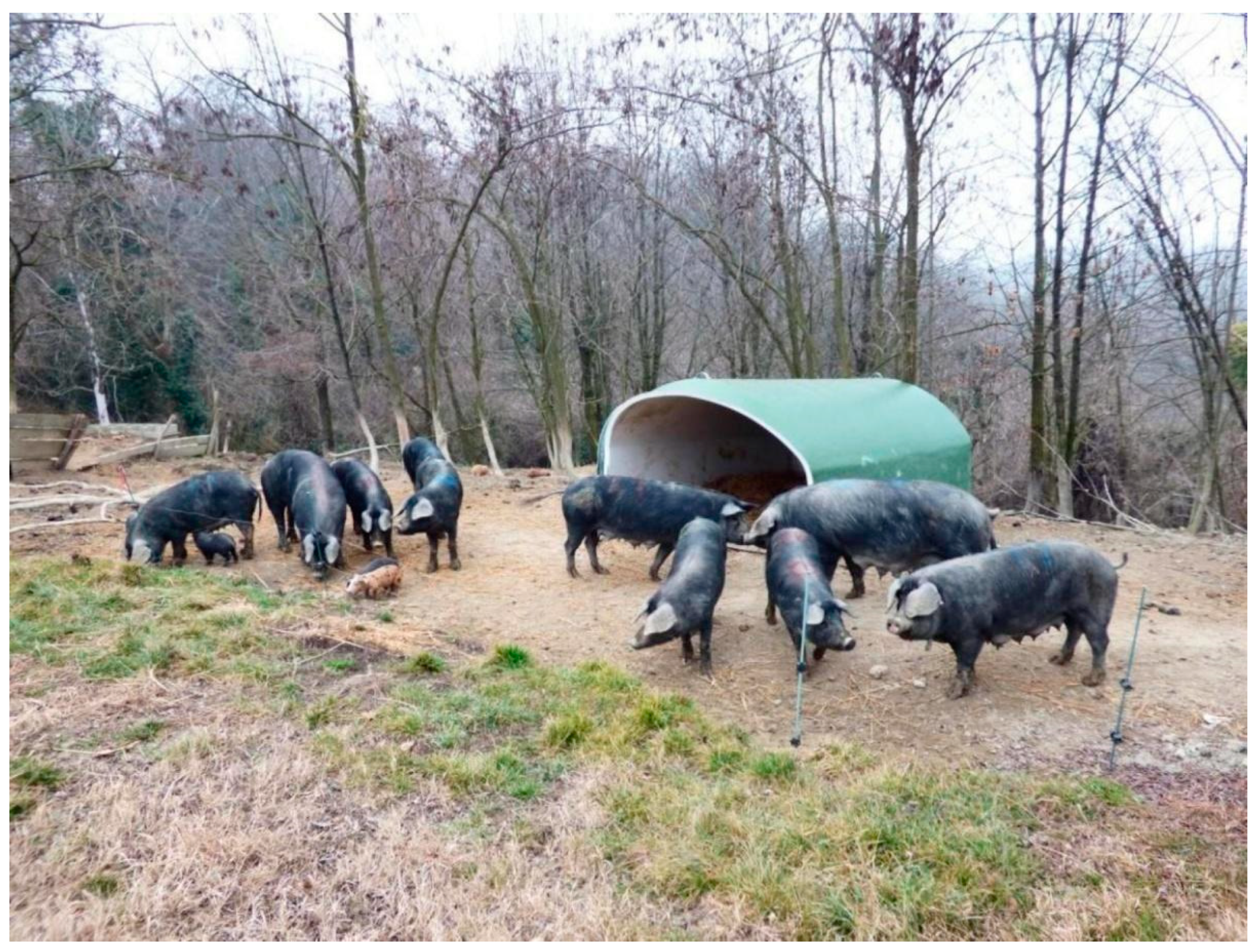 Animals 13 02261 g002 Animals 13 02261 g002