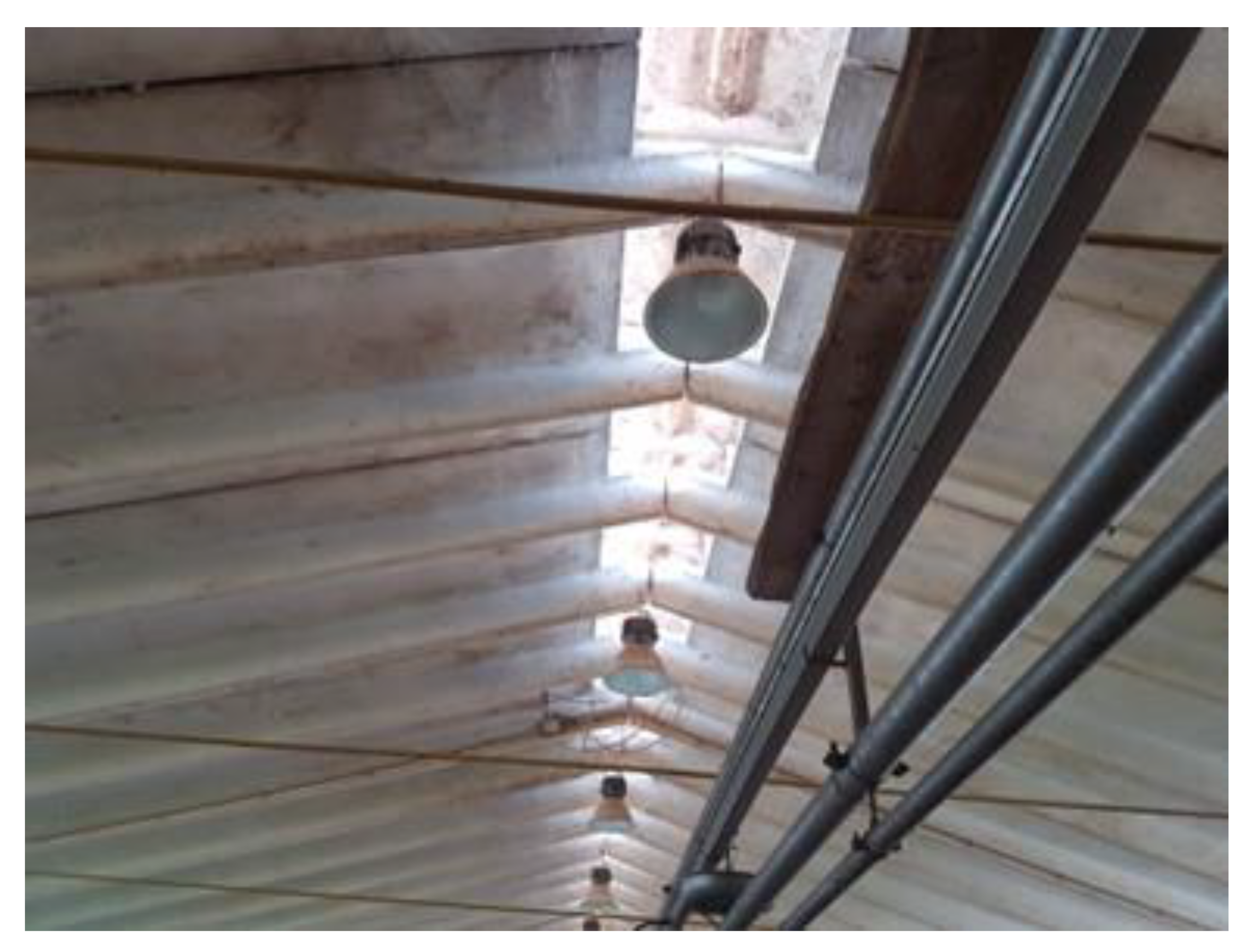 Animals 13 02297 g002