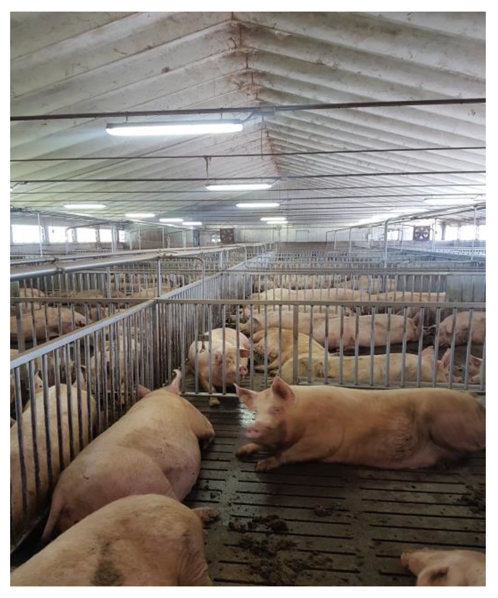 Animals 13 02297 g004