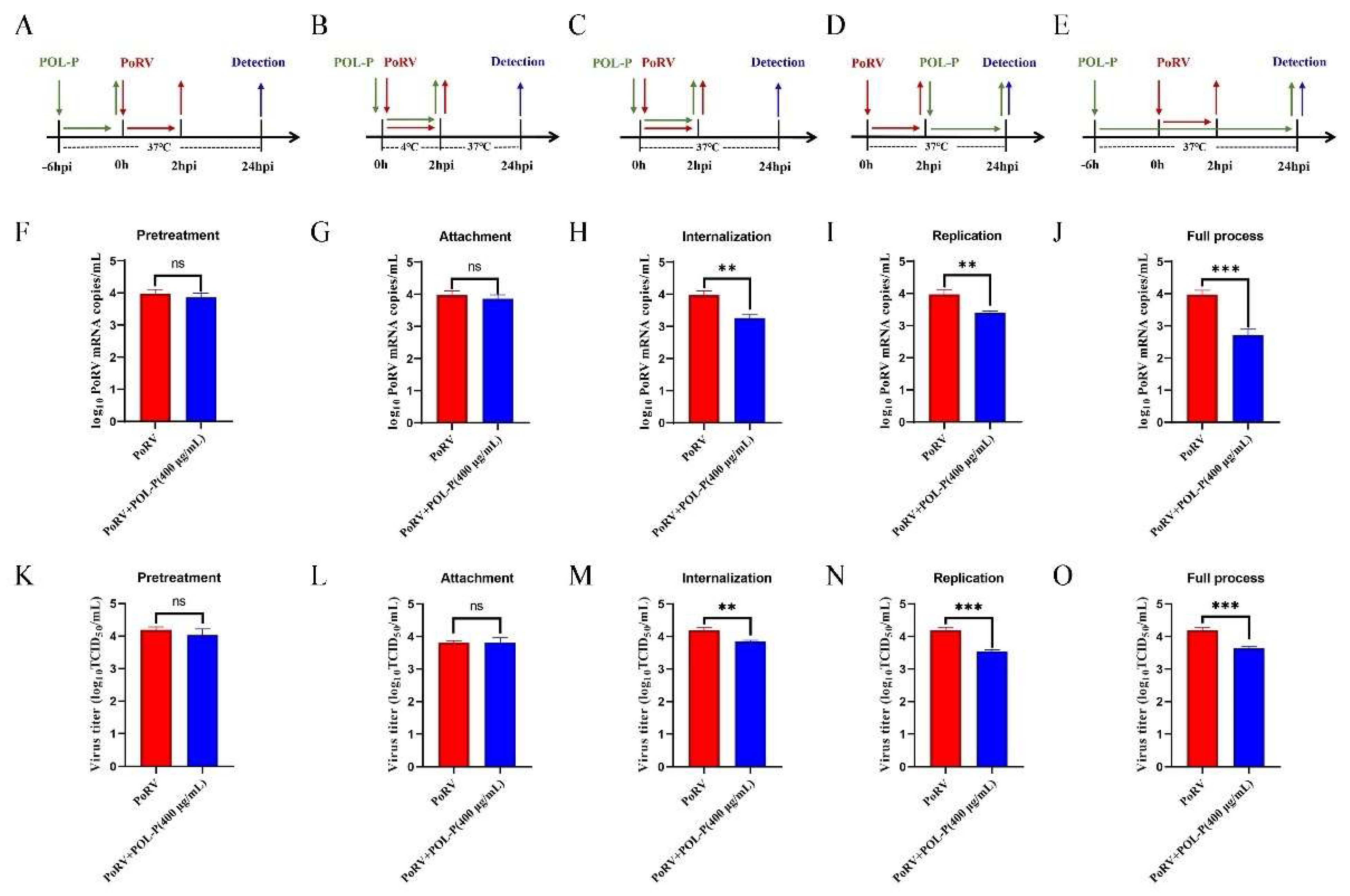 Animals 13 02306 g003