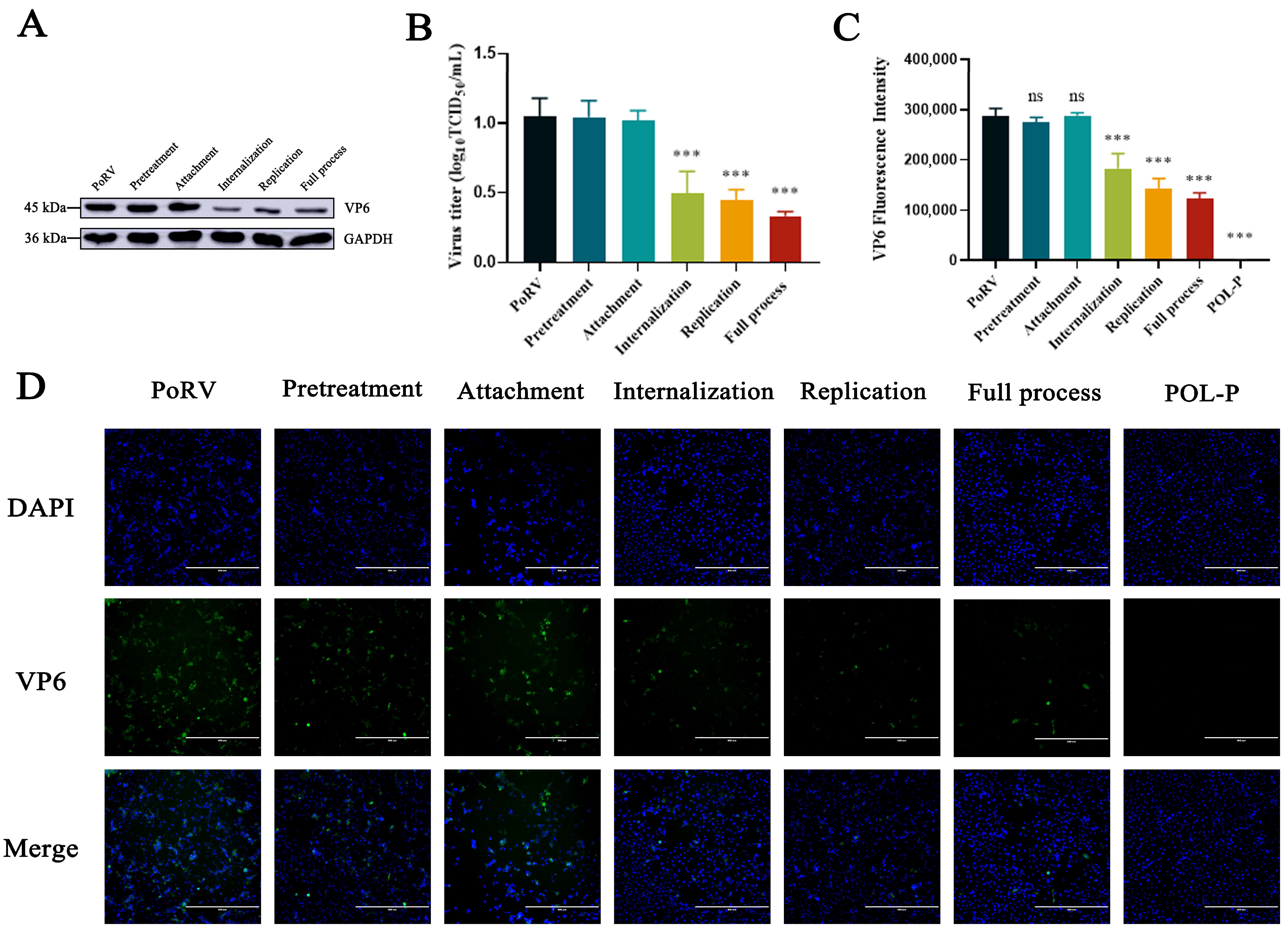 Animals 13 02306 g004