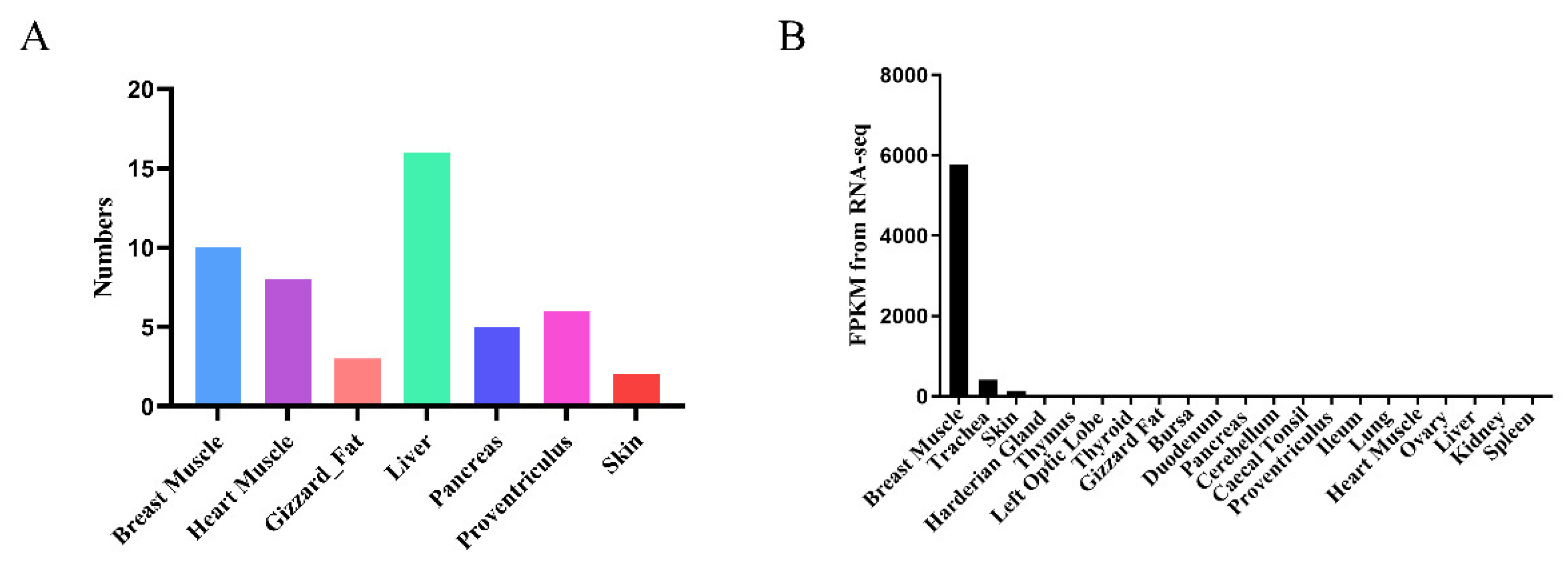 Animals 13 02316 g001