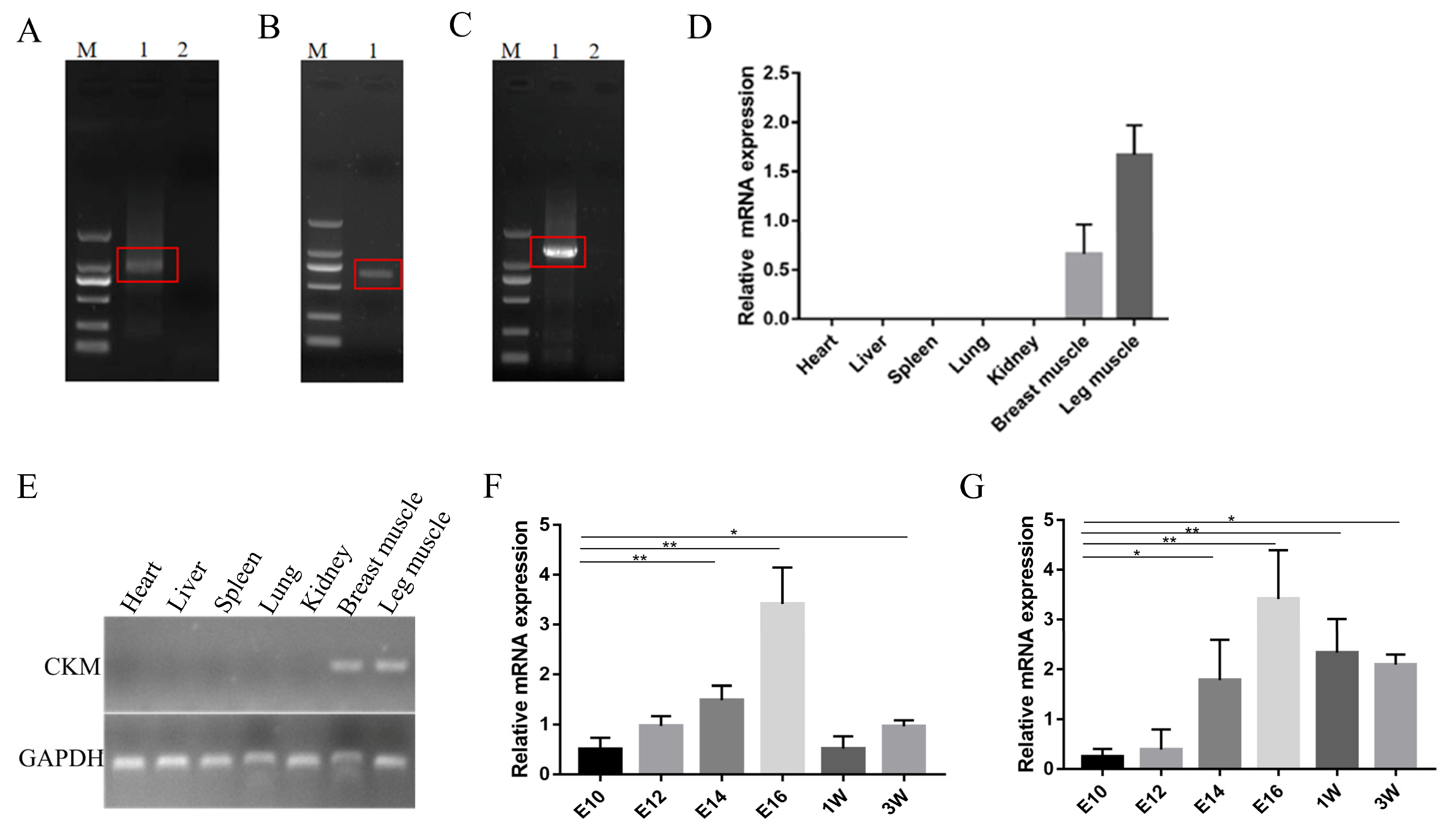 Animals 13 02316 g002