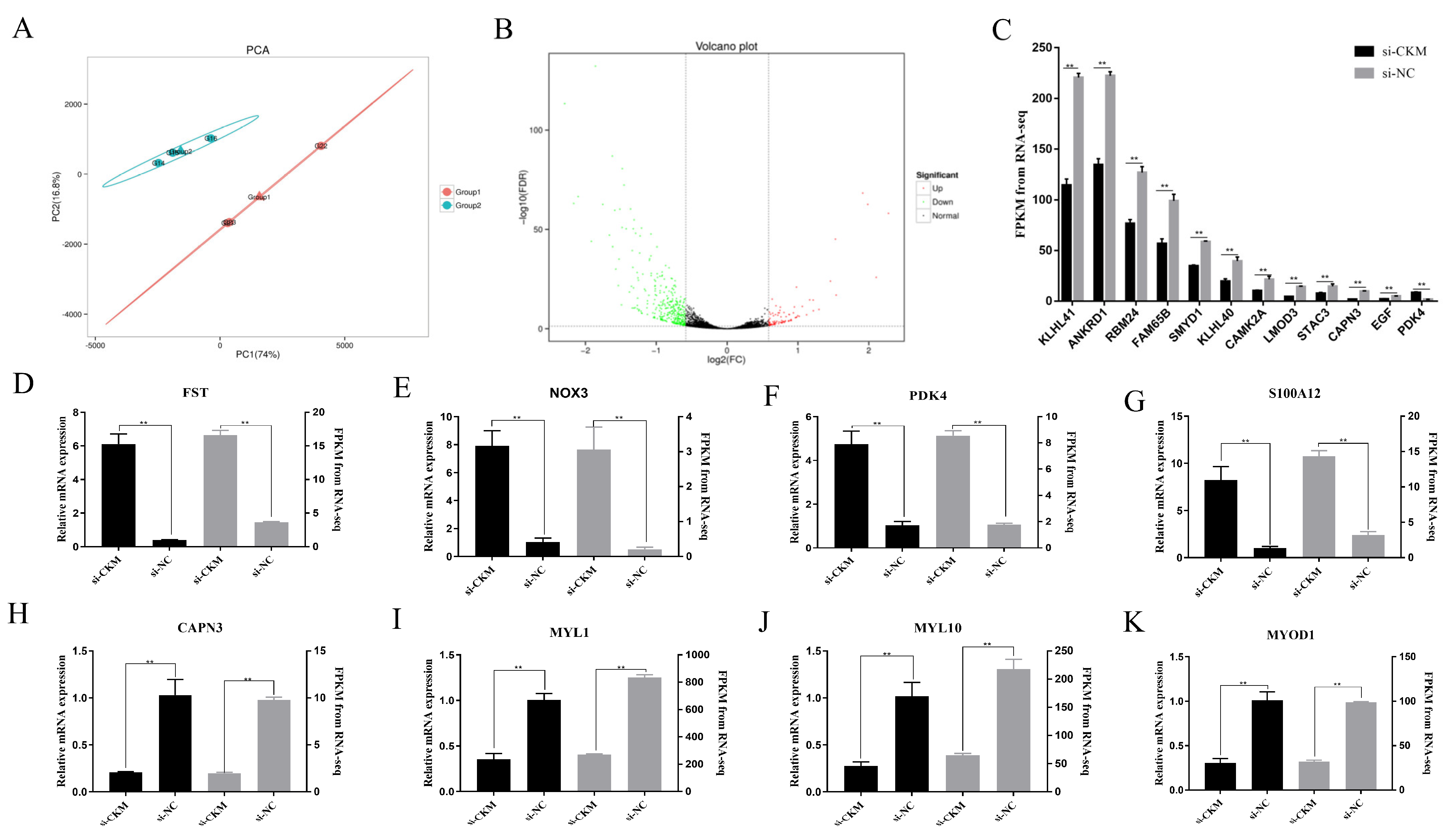 Animals | Free Full-Text | Transcriptome-Based Identification of the ...