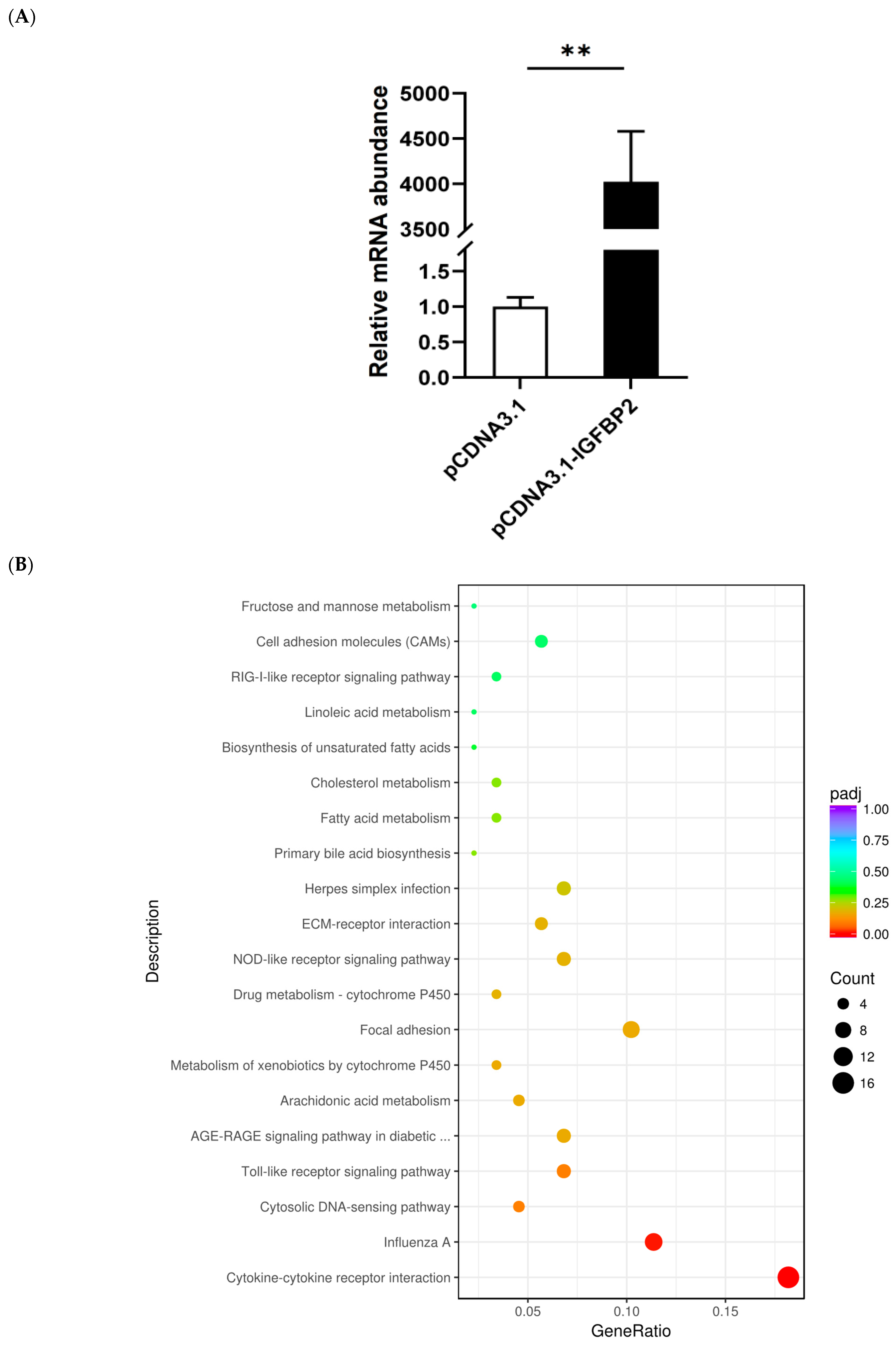 Animals 13 02336 g003a