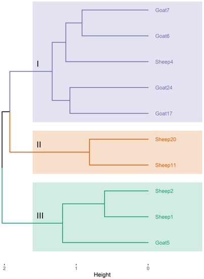 Animals | Free Full-Text | Molecular Characterization and Antimicrobial ...