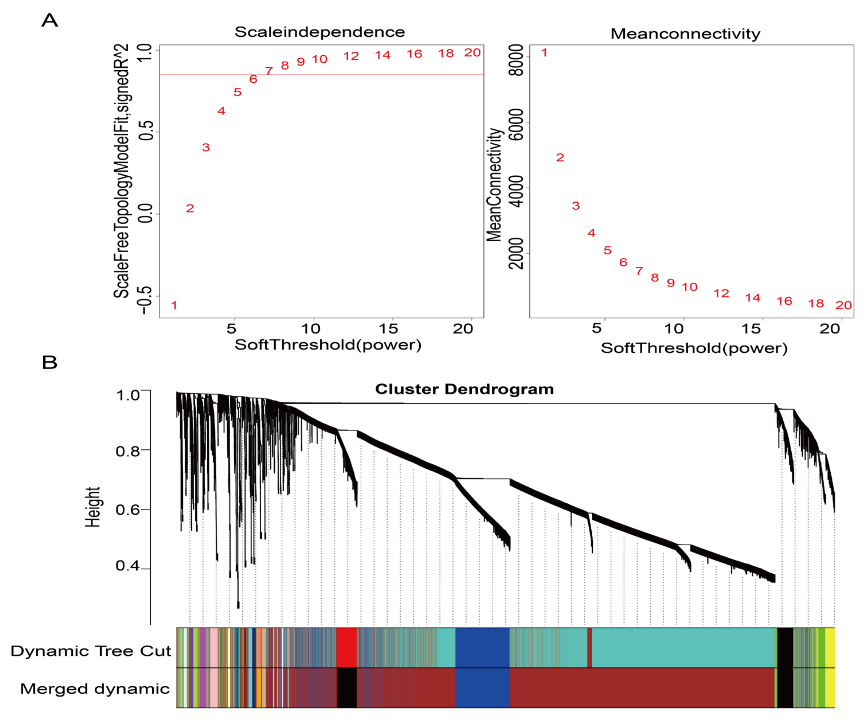 Analysis of the scale-free fit index for various soft-thresholding