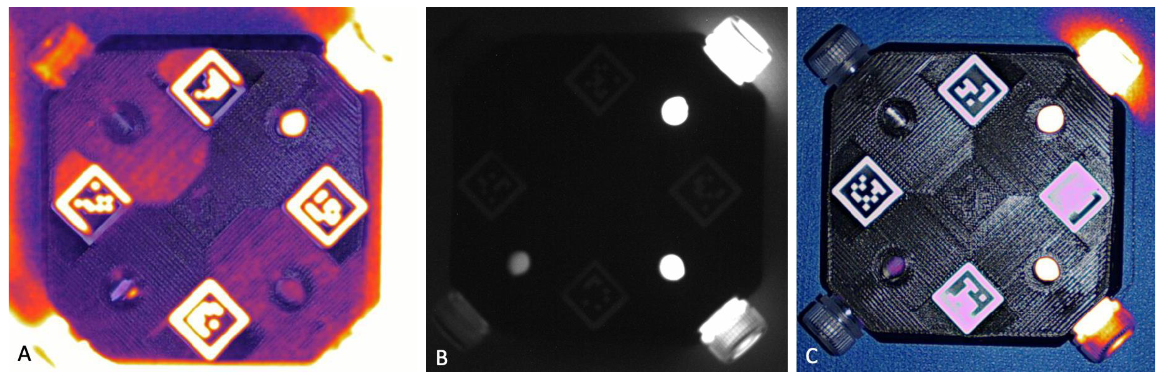 Animals 13 02363 g003 Animals 13 02363 g003