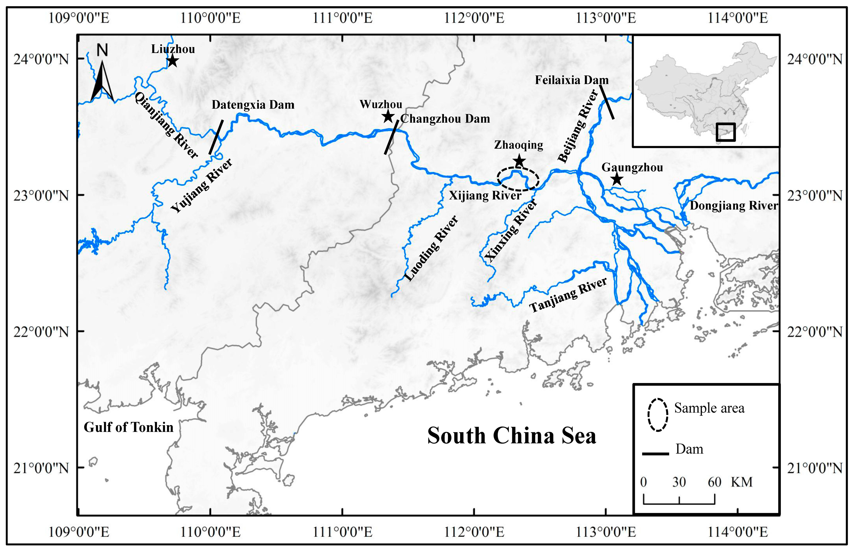 Animals 13 02413 g001