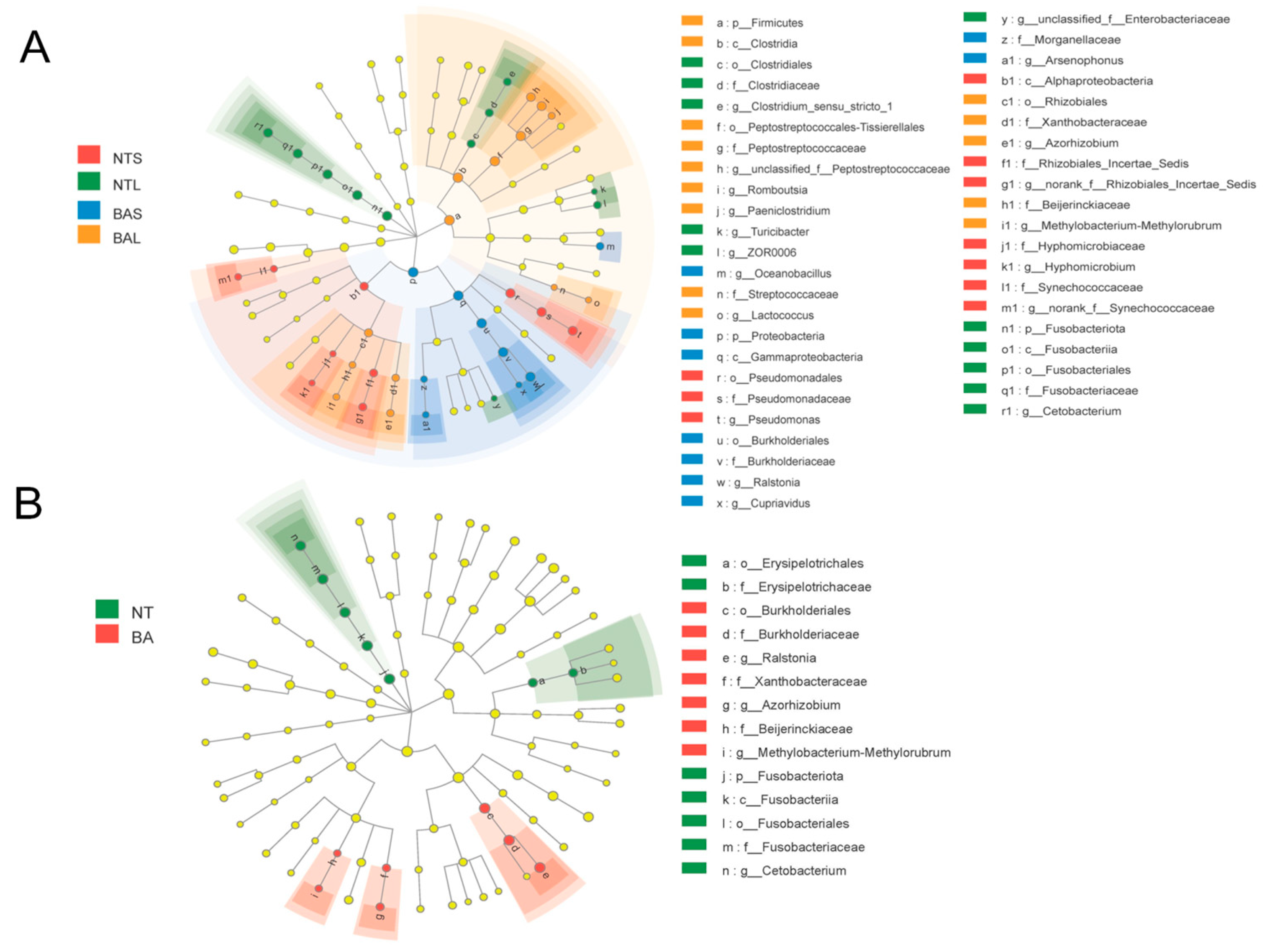 Animals 13 02413 g004