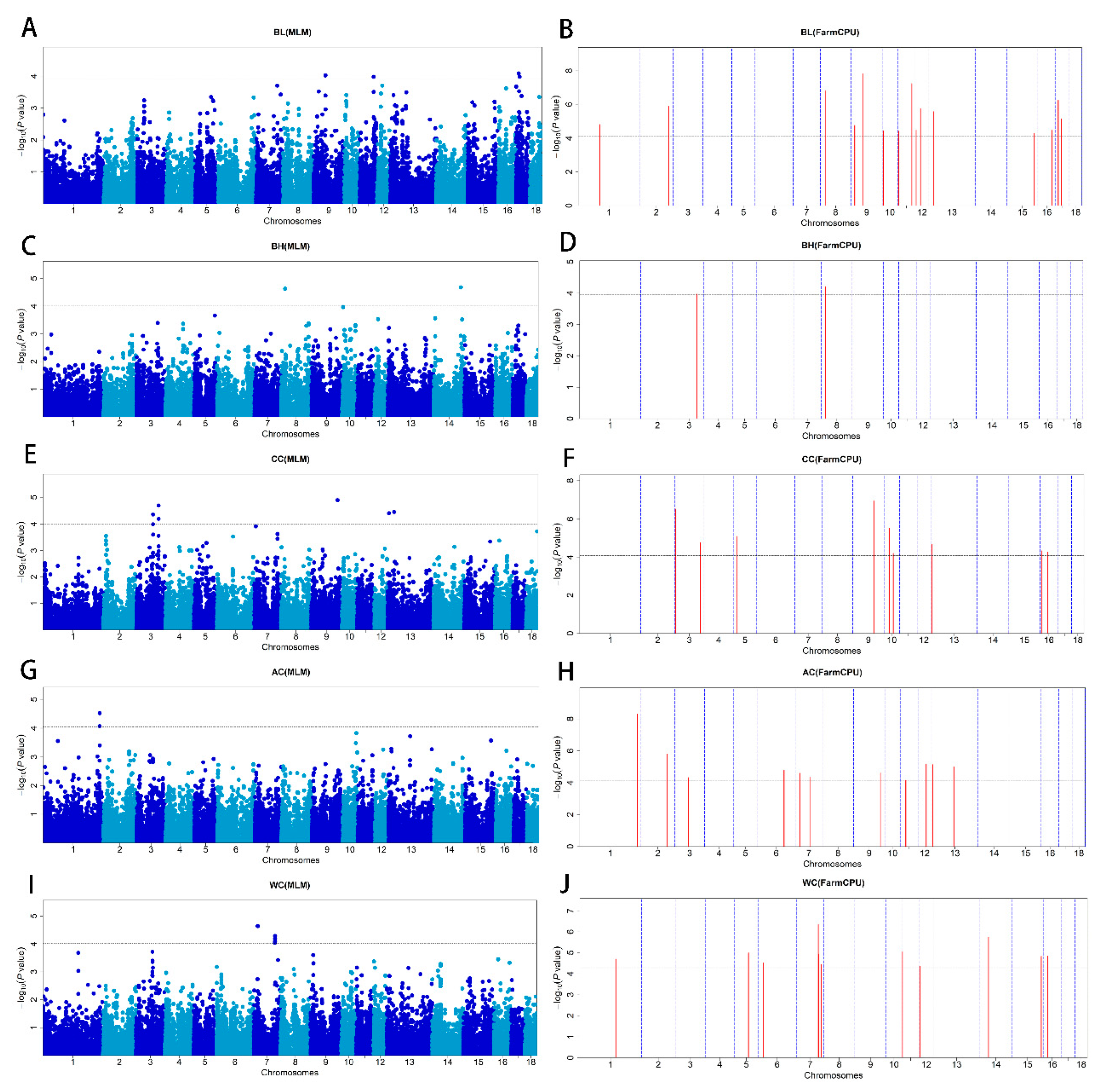 Animals 13 02414 g002