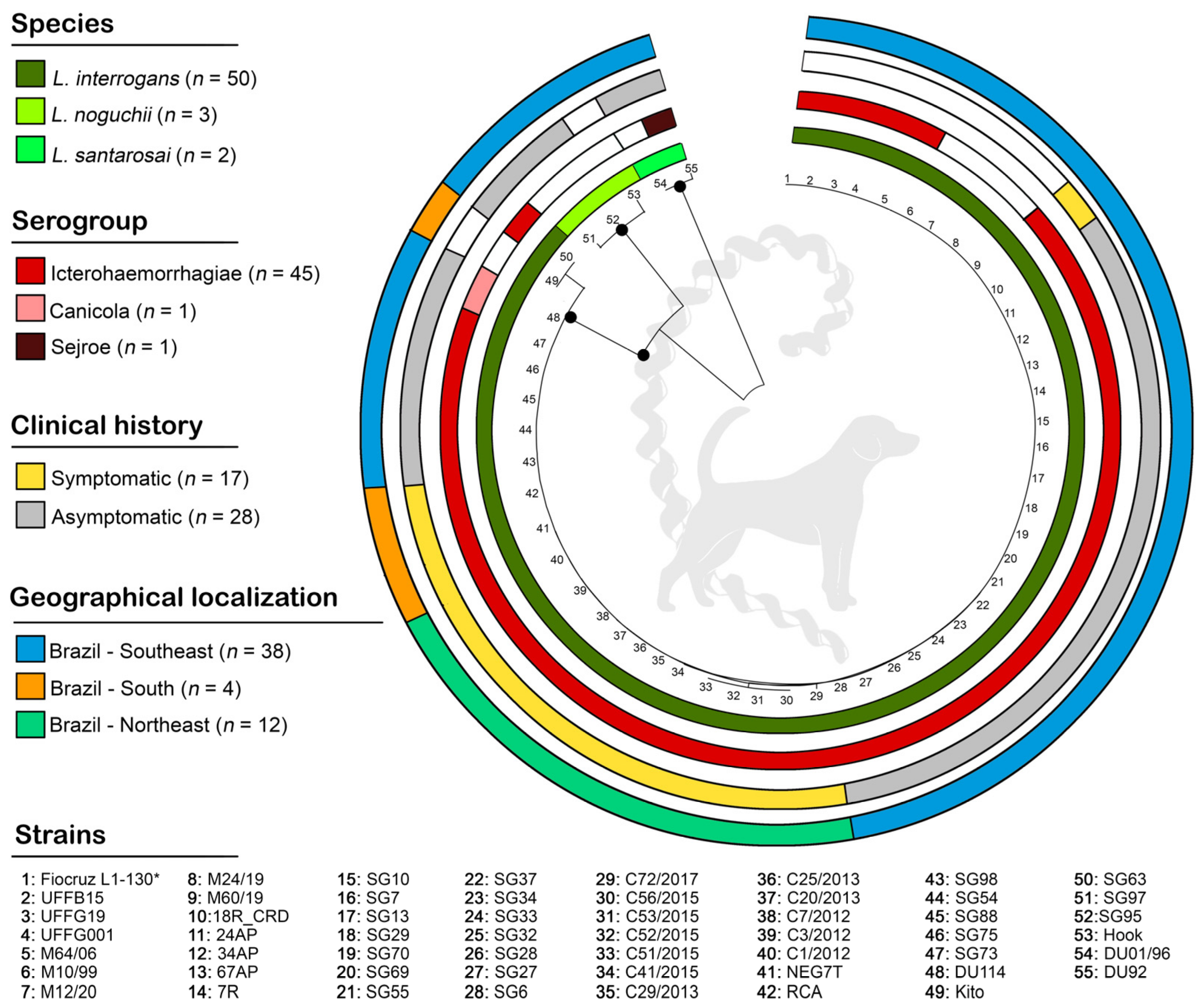 Animals 13 02422 g002 Animals 13 02422 g002
