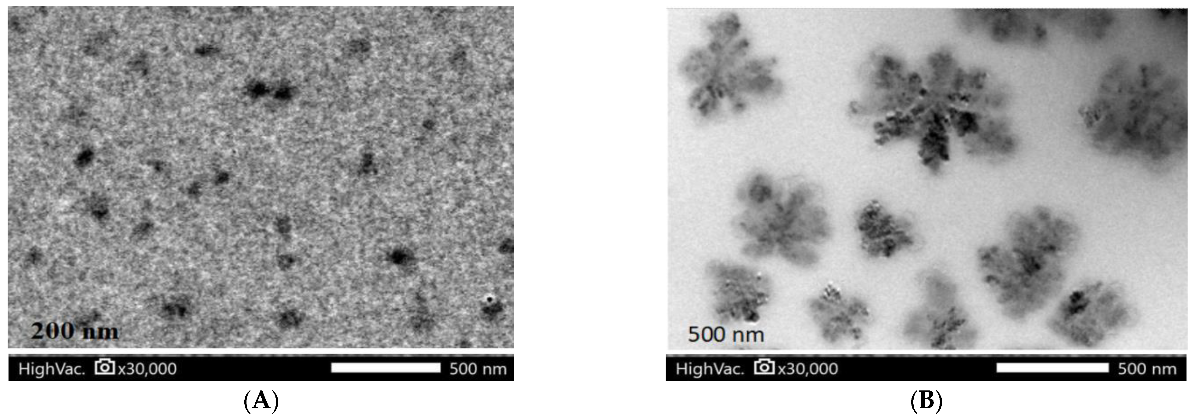 Animals 13 02432 g004 Animals 13 02432 g004