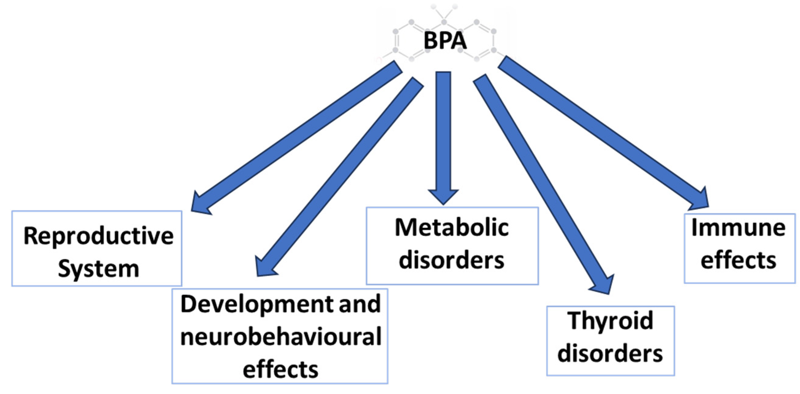BPA exposure causes early onset puberty in rats - EHN