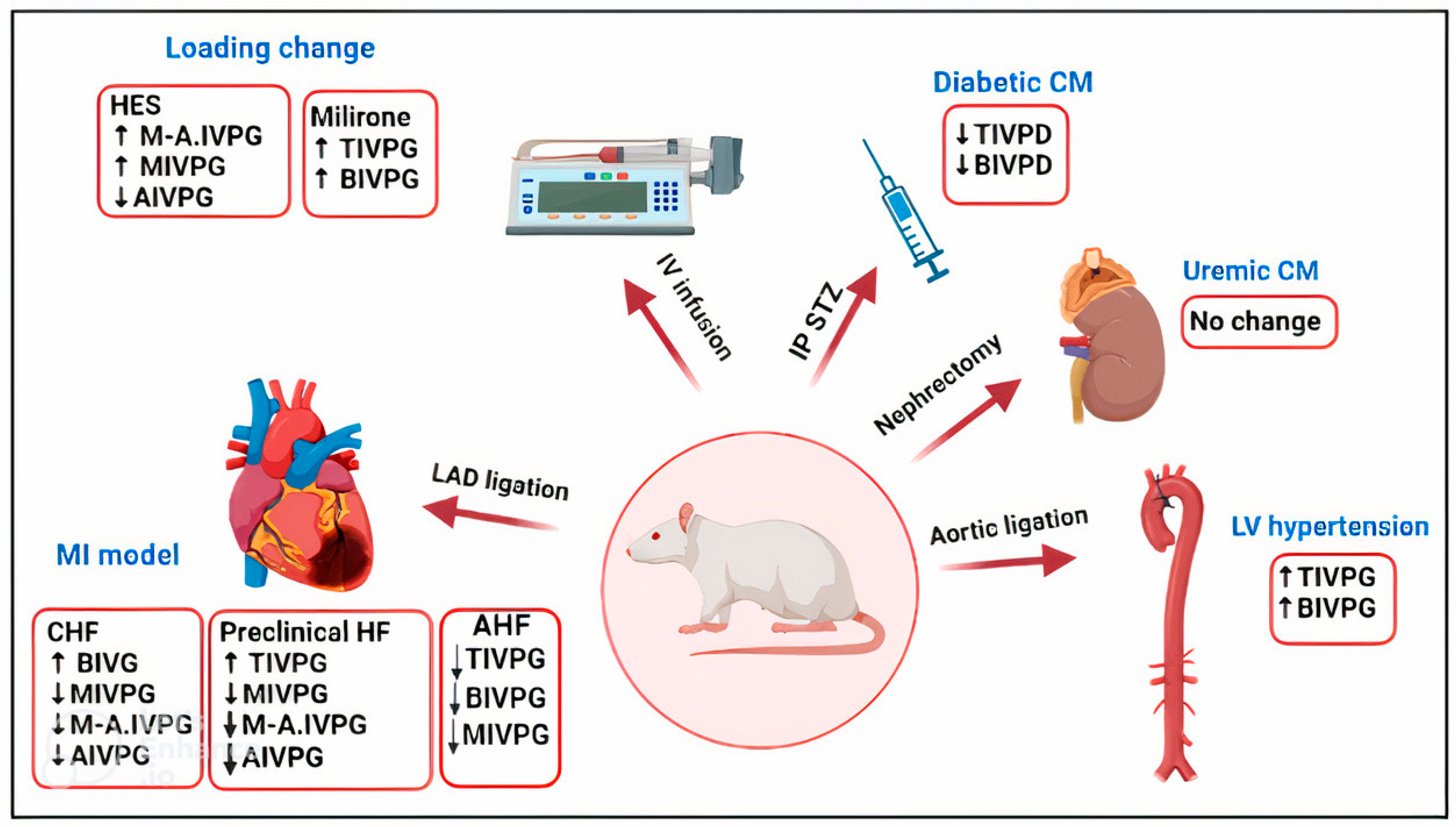 Animals 13 02452 g002