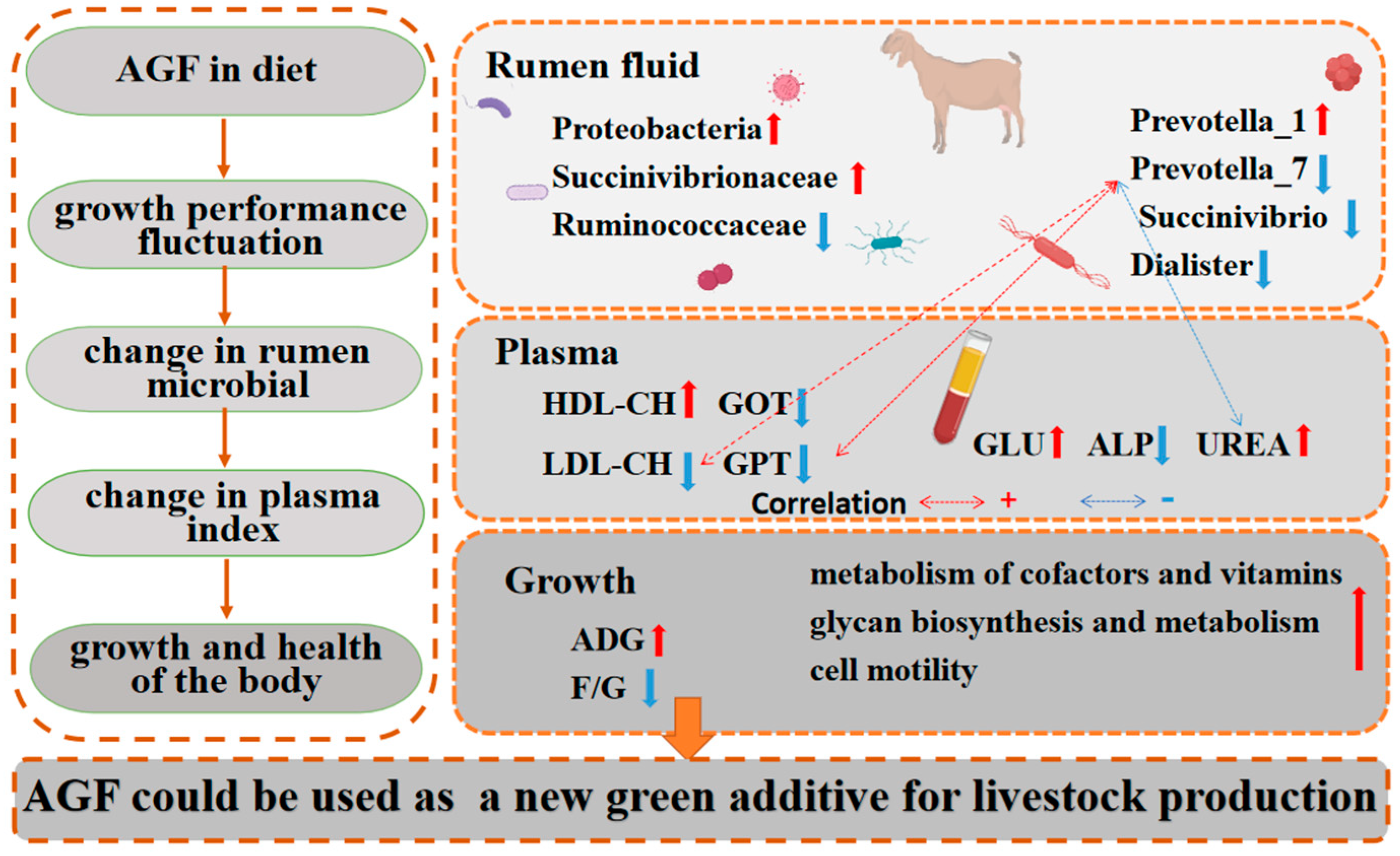 Animals 13 02454 g008