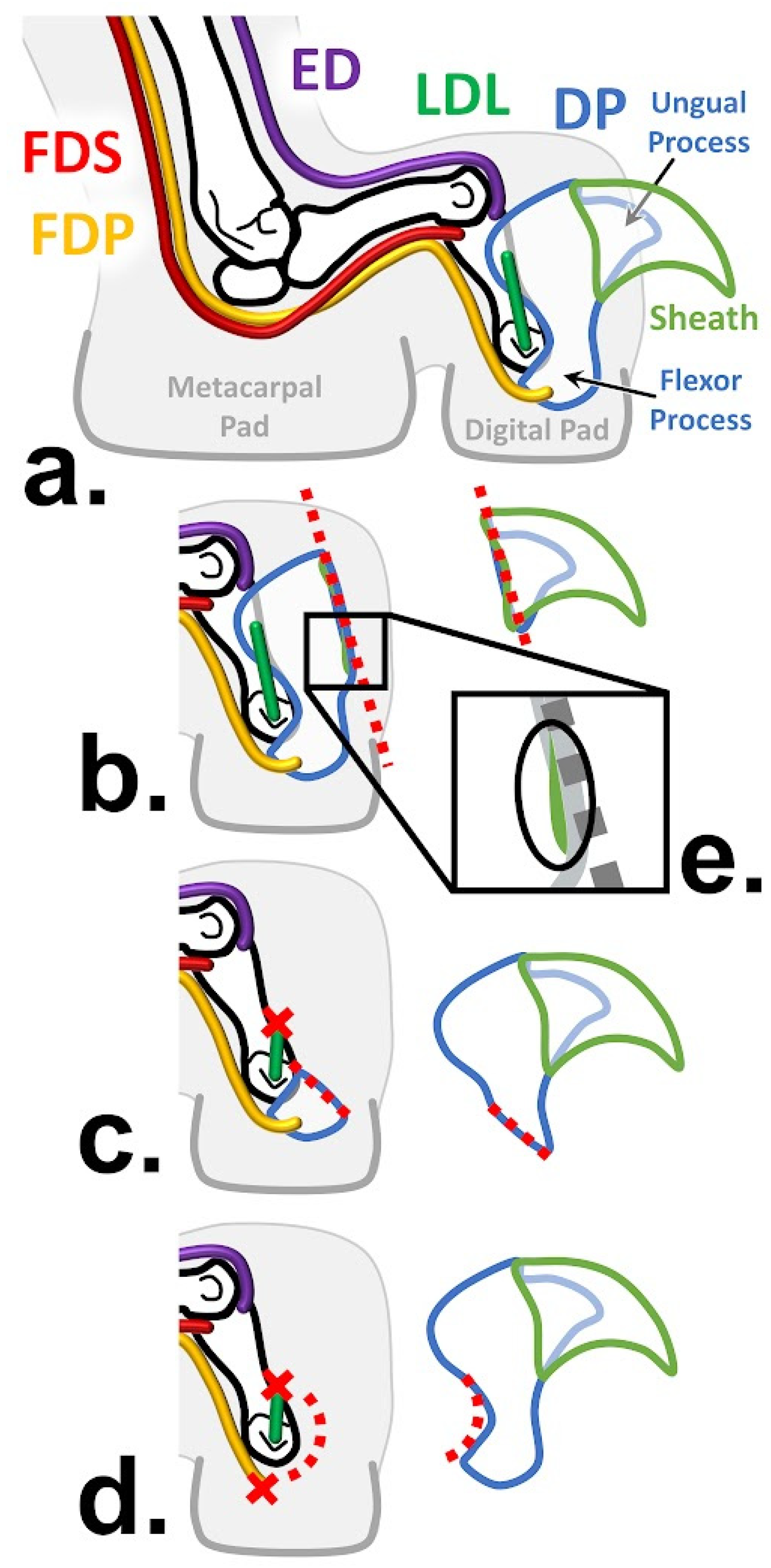 Animals 13 02462 g002