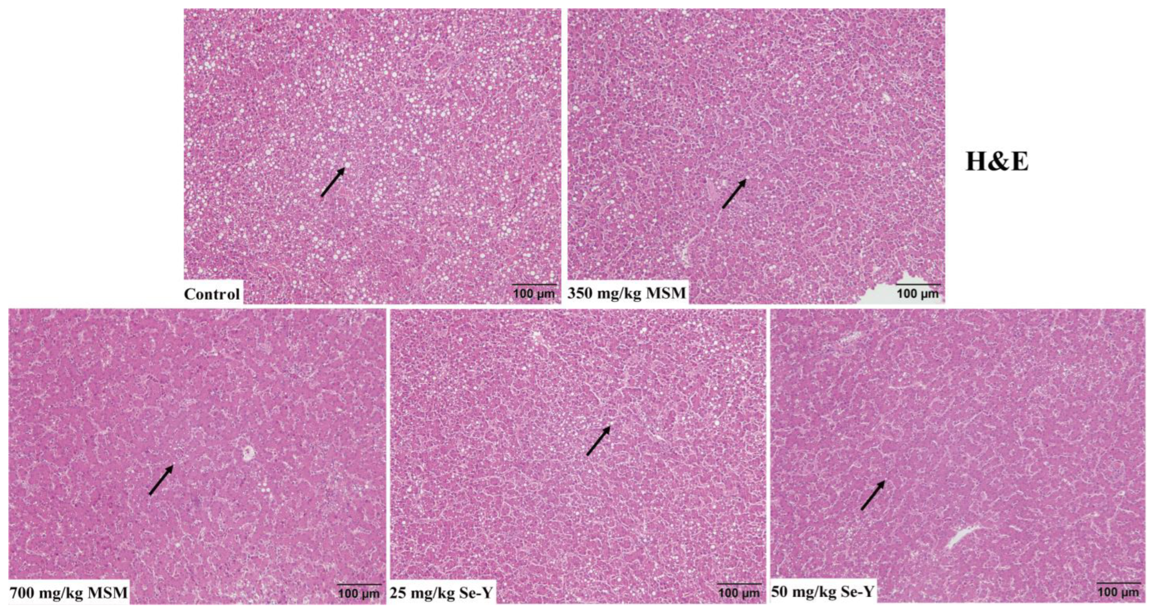 Animals 13 02466 g001