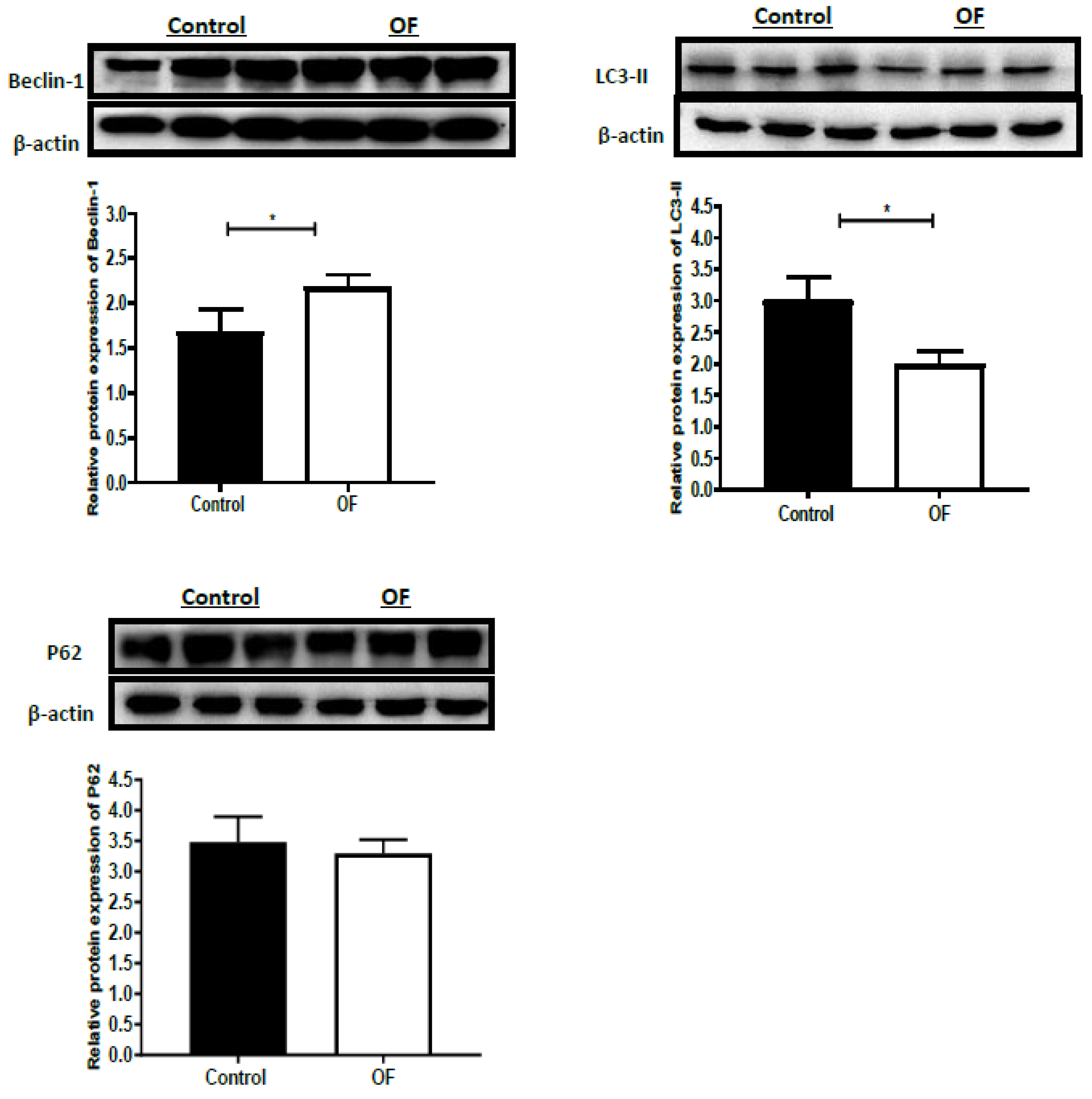 Animals 13 02478 g002 Animals 13 02478 g002
