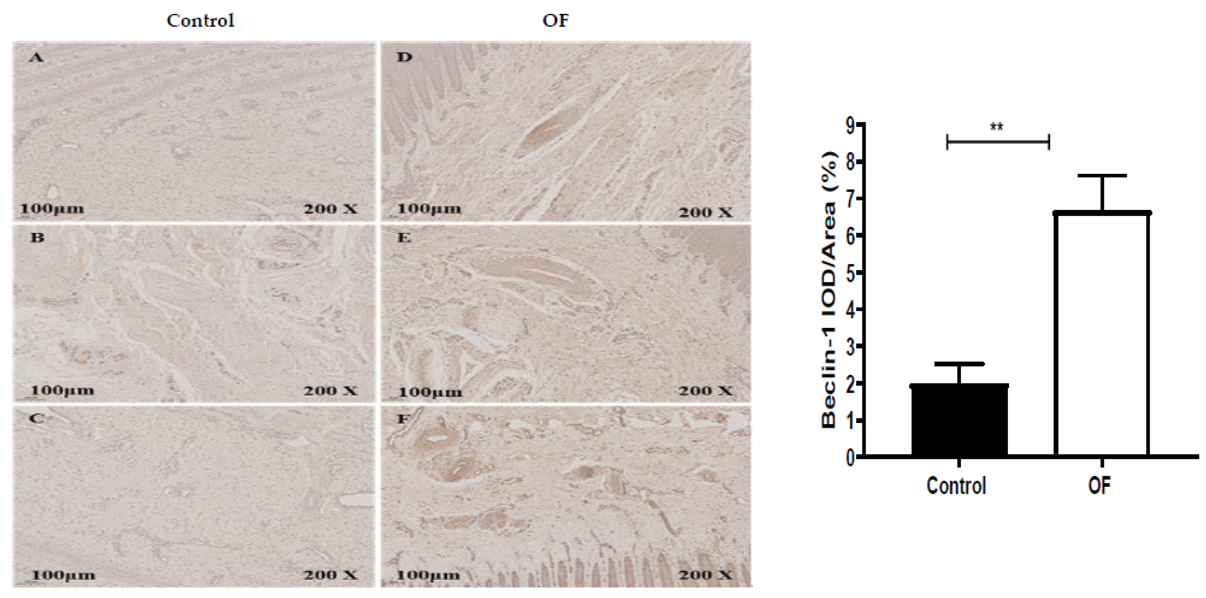 Animals 13 02478 g003 Animals 13 02478 g003