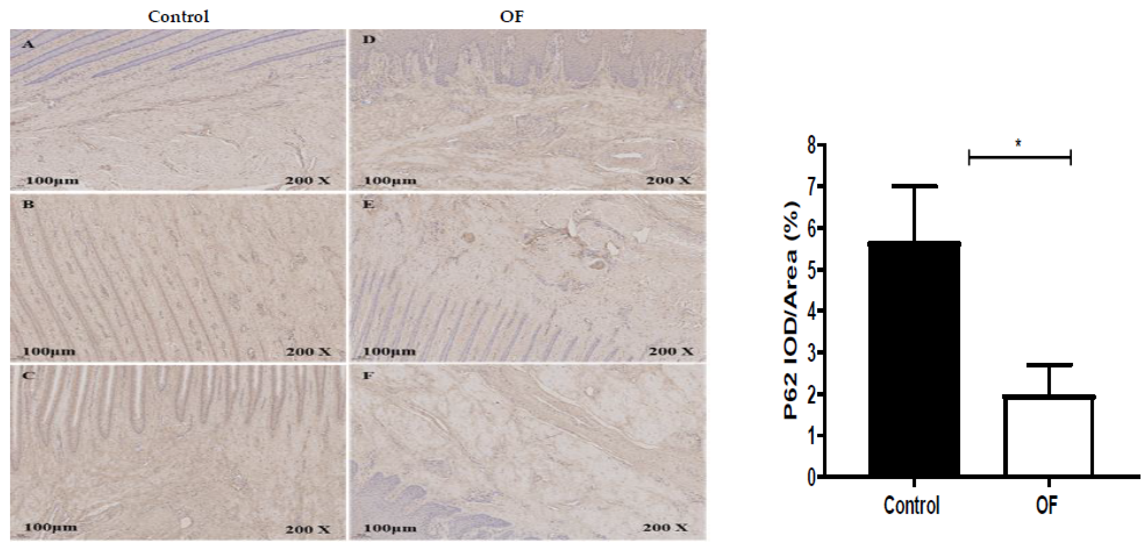 Animals 13 02478 g004 Animals 13 02478 g004